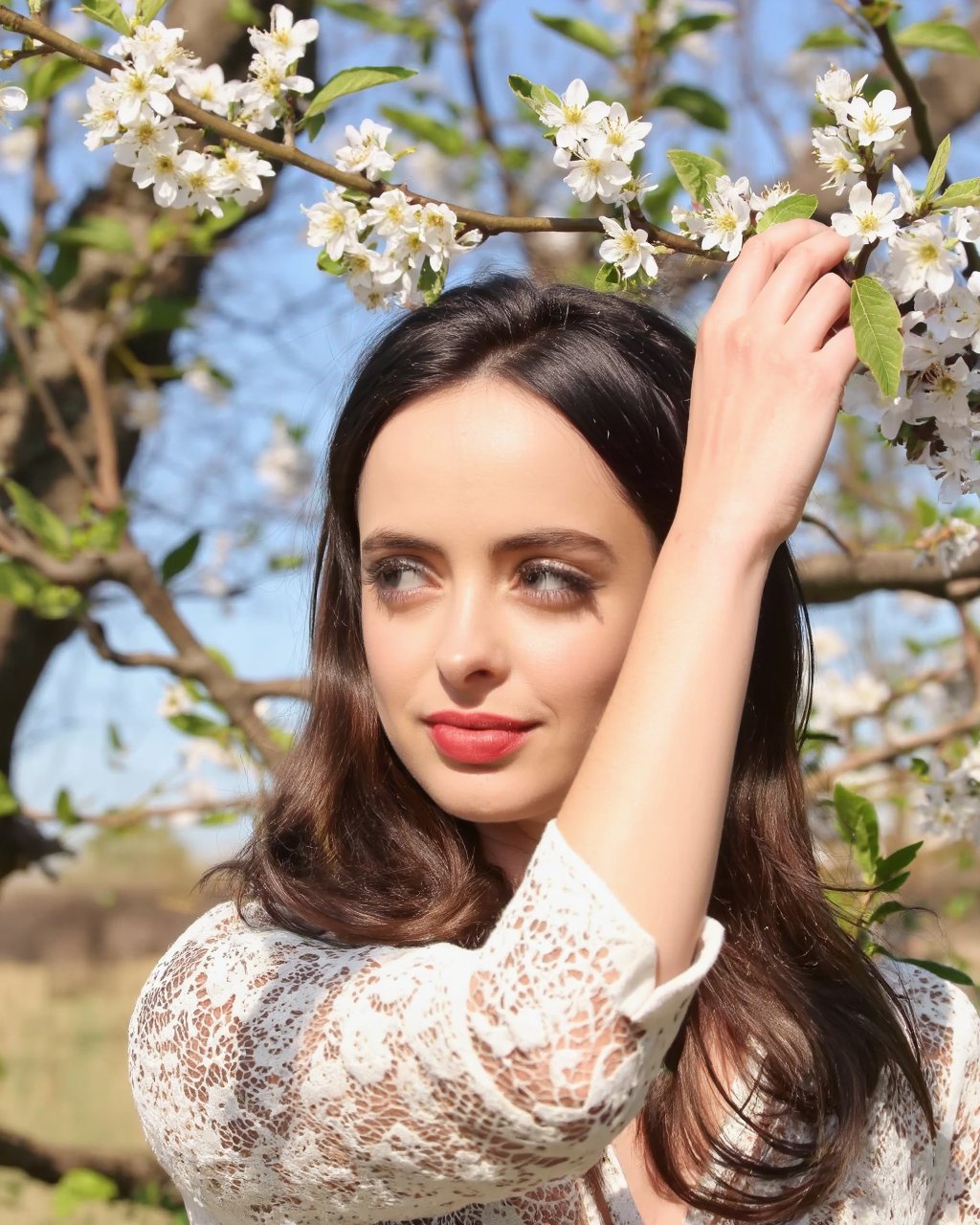 A portrait of krysten_ritter in a blossoming orchard. She wears a white blouse with intricate lace detailing. Her long brown hair flows down her back, and she holds a branch with delicate white blossoms above her head. The background is a blend of bare trees and a clear blue sky, indicating a sunny day. The image conveys a serene and contemplative mood, with the woman appearing lost in thought.