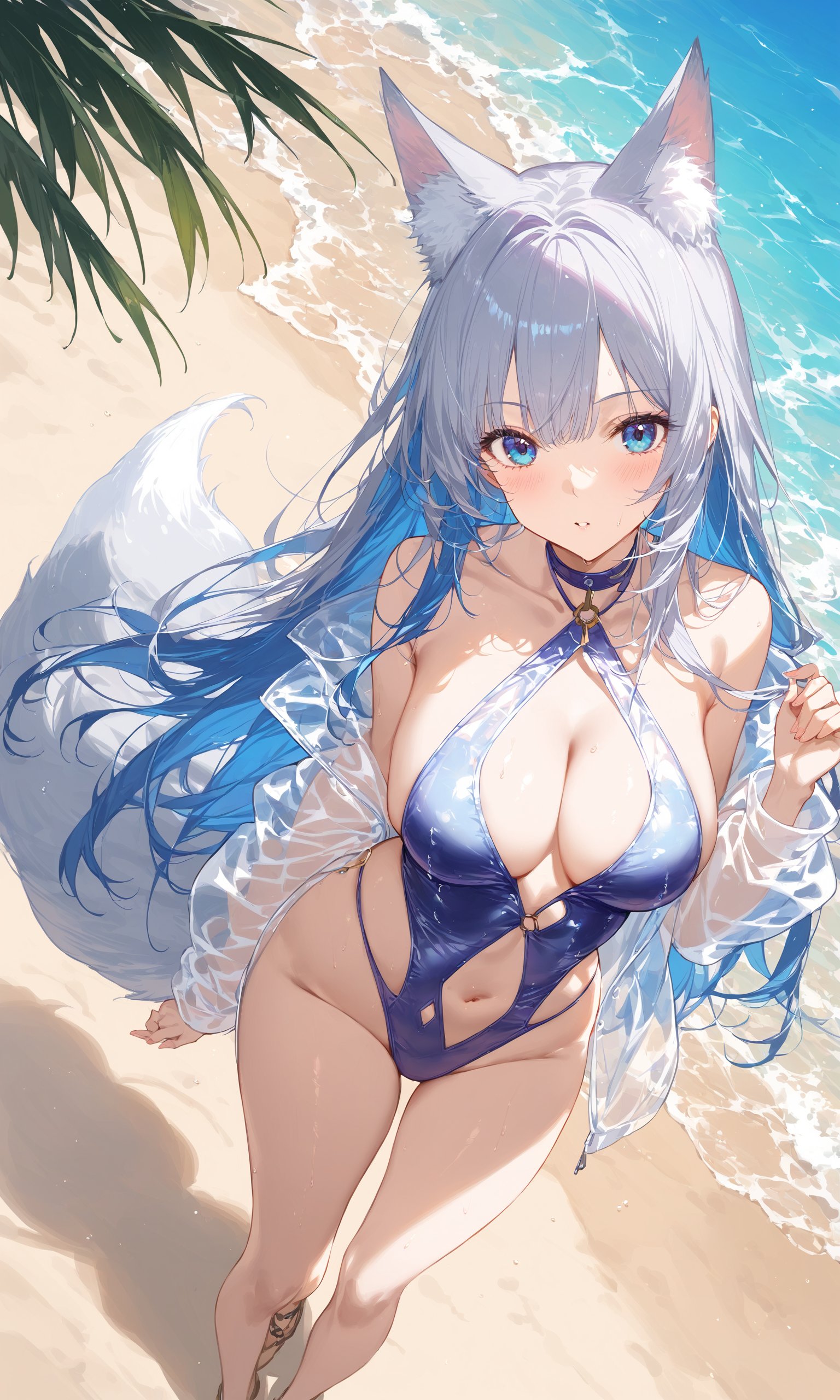 1girl, fox girl, fox tail, two tone hair, grey hair, blue hair, long hair, grey eyelashes, translucent vinyl one-piece swimsuit, cutout breasts, cutout stomach, transparent jacket, beach, from above:1.1,,masterpiece, best quality, score_9, score_8_up, score_7_up, ultra-detailed, Best-A, Medium-B, Low-C, Bad-D,