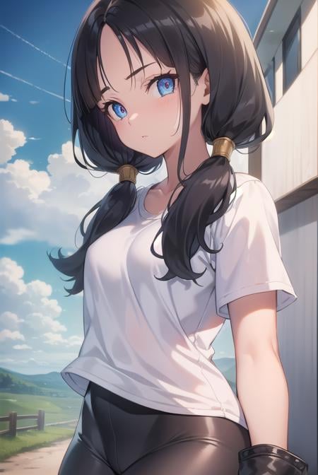 videl, <lora:videlv2-lora-nochekaiser:1>, videl, black hair, blue eyes, eyelashes, (parted bangs:1.5), twintails,BREAK bike shorts, black gloves, black legwear, collarbone, fingerless gloves, gloves, shirt, short sleeves, white shirt,BREAK outdoors, nature, forest, sun, sky, clouds,BREAK looking at viewer, (cowboy shot:1.5),BREAK <lyco:GoodHands-beta2:1>, (masterpiece:1.2), best quality, high resolution, unity 8k wallpaper, (illustration:0.8), (beautiful detailed eyes:1.6), extremely detailed face, perfect lighting, extremely detailed CG, (perfect hands, perfect anatomy),