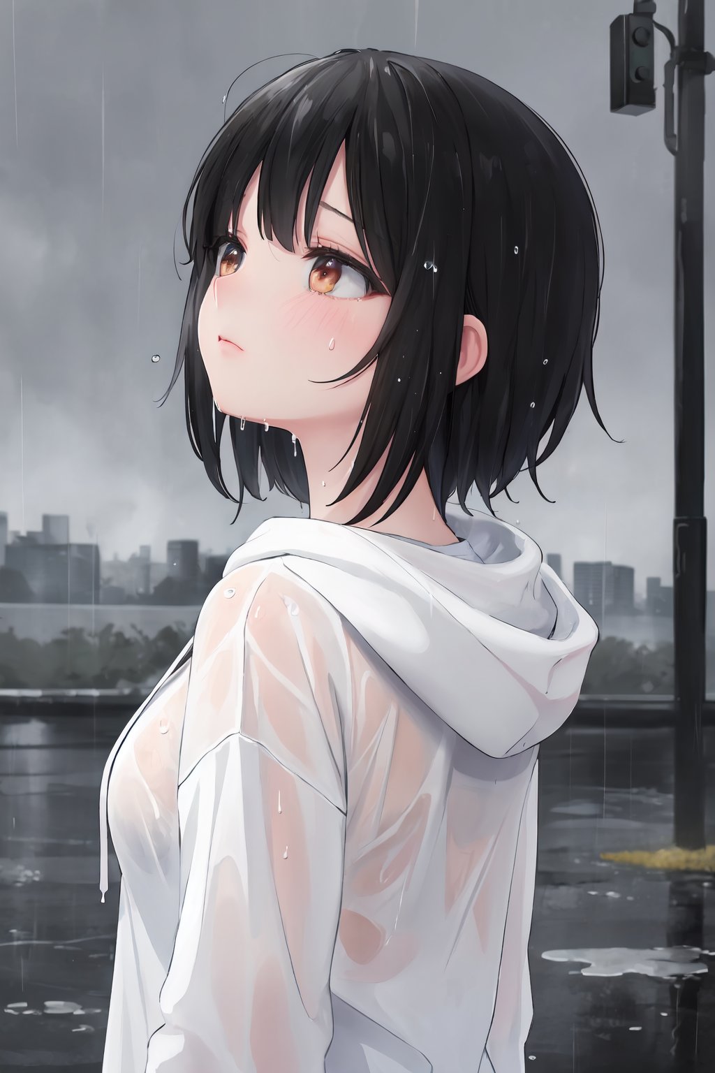 ((masterpiece)), ((highest quality 16k)),((ephemeral)) ((detailed and delicate)), ((fantastic background))((black hair)), heavy rain, hoodie, look up, wet hair, wet clothes, outside, sad