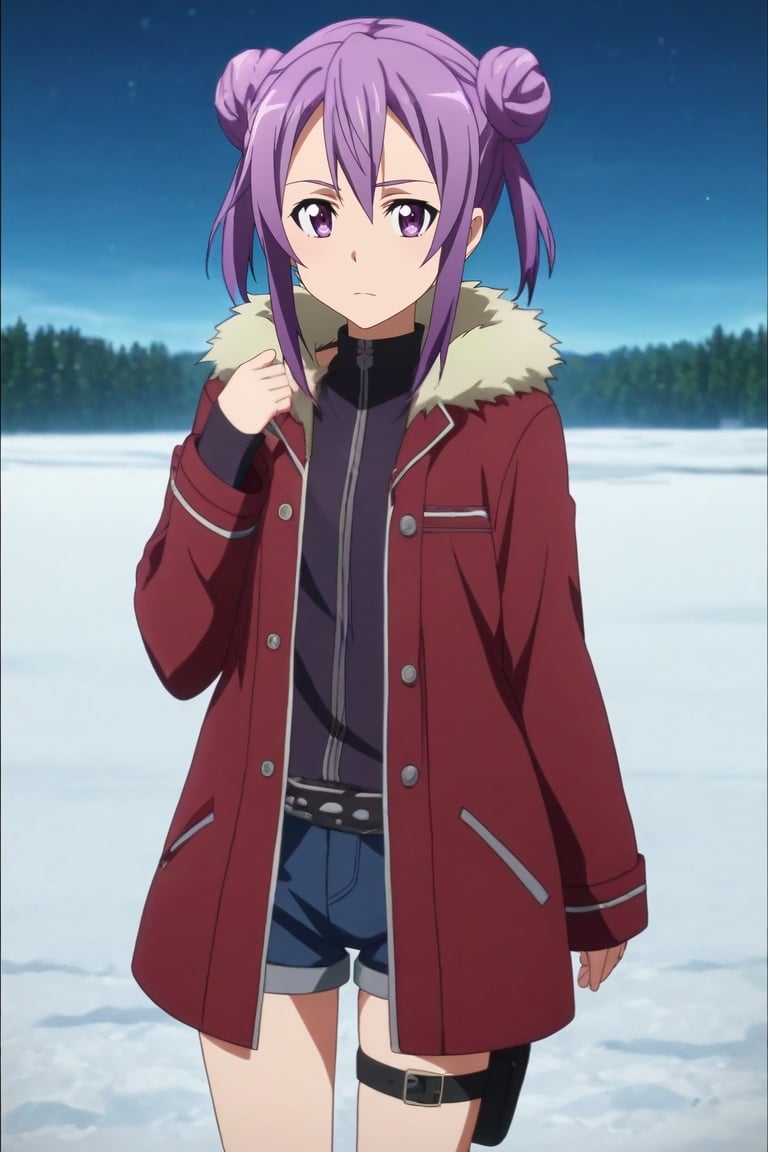 score_9, score_8_up, score_7_up, source_anime, rating_safe, anime screencap, intricate details, looking at viewer, , 1girl, purple eyes, purple hair, twin buns, , coat, short shorts, thigh strap, solo, panorama, snowy field, dusk, one leg up, :o, <lora:sao_style_pony:0.98>, sao_style, , <lora:sdxl_lightning_8step_lora:1>