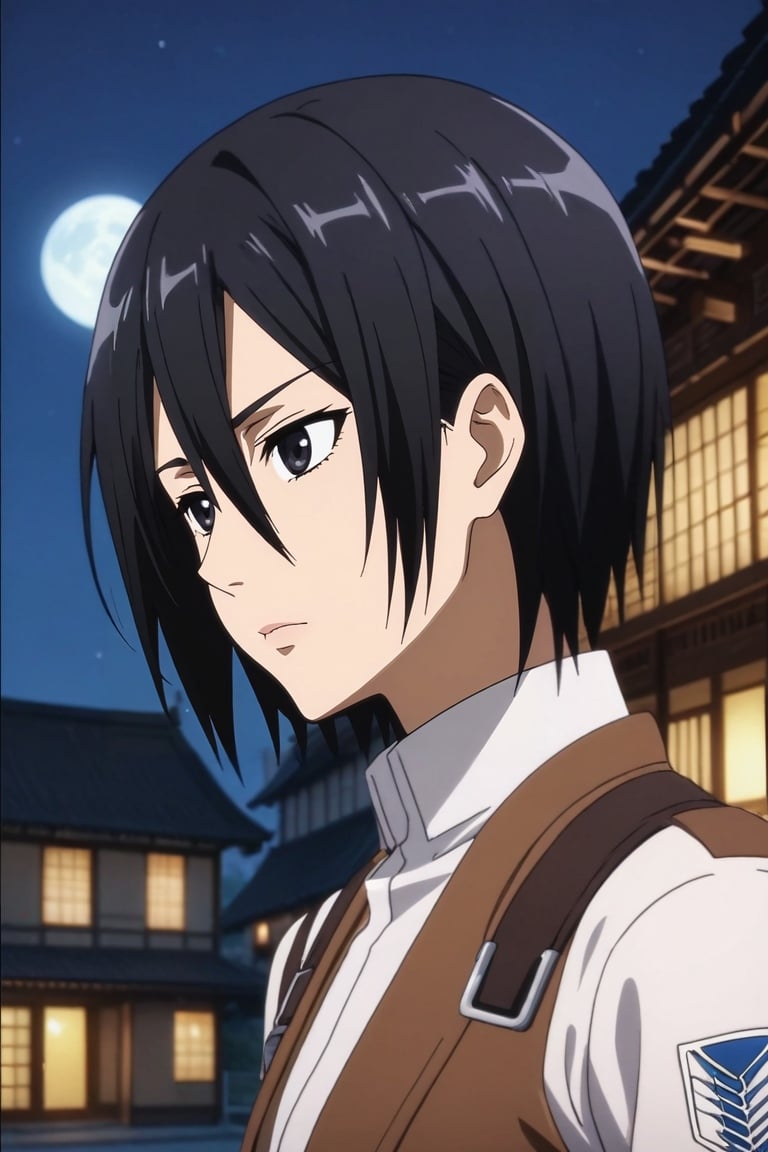 score_9, score_8_up, score_7_up, source_anime, rating_safe, anime screencap, intricate details, , depth of field, 1girl, mikasa ackerman, shingeki no kyojin, black hair, black eyes, solo, straight-on, town, japanese architecture, night, full moon, leaning on object, :o, <lora:sao_style_pony:0.8>, sao_style, , <lora:sdxl_lightning_8step_lora:1>