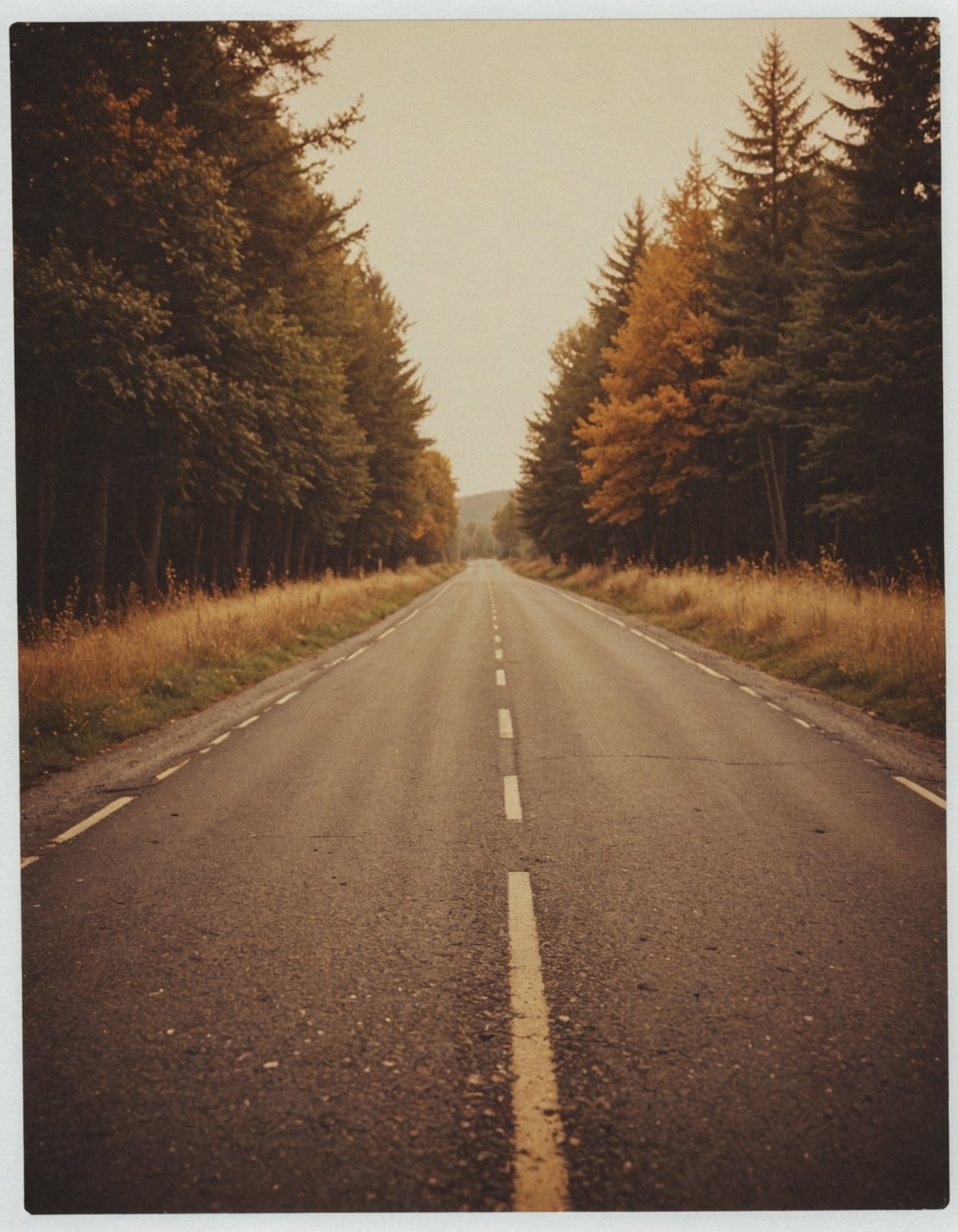 polaroid photo of a road, warm tones, perfect landscape