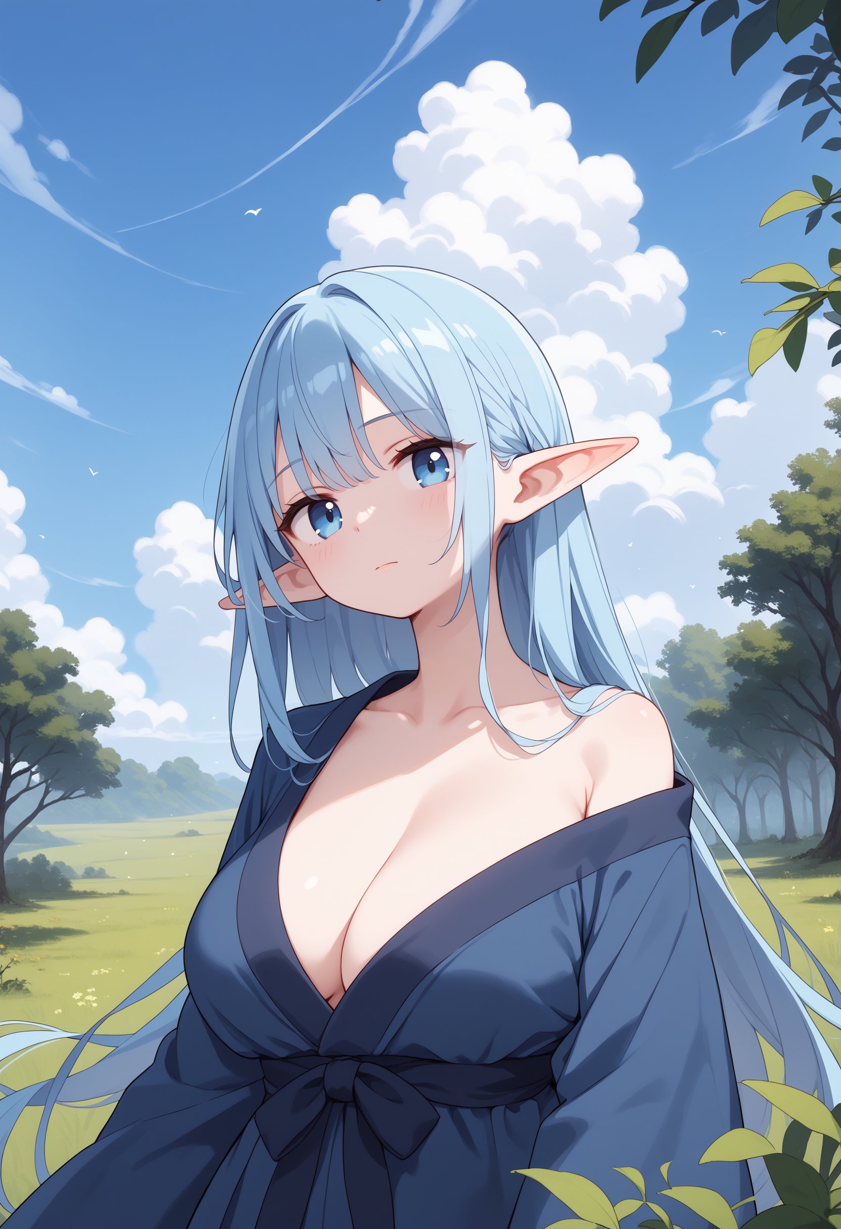 score_9, score_8_up, score_7_up, score_6_up, score_5_up, score_4_up, 1girl, upper body, long hair, blue hair, blue eyes, dark forest, elf, blue ornate robe, clouds, plains, large breasts