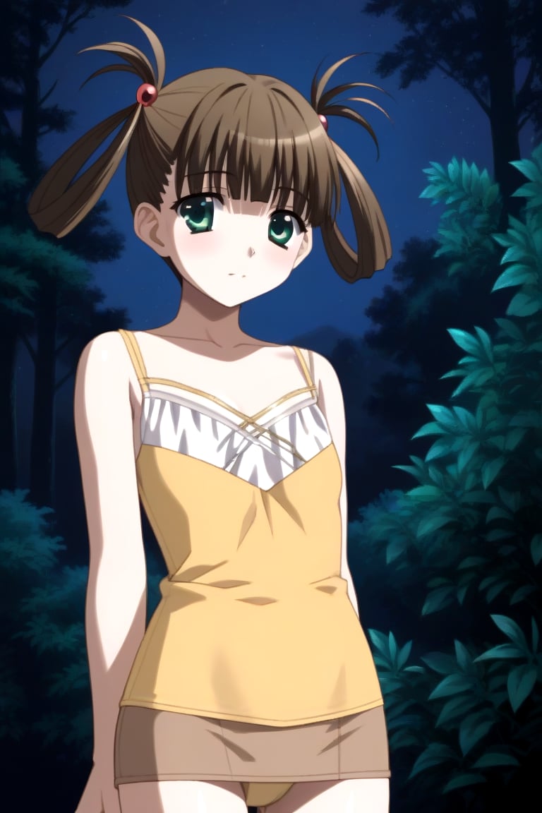 Highly detailed, High Quality, masterpiece, beautiful, 1girl, solo, (feminine focus, young woman, 16 years old), Hikari Kuroda, bangs, brown hair, hair ornament, twintails, green eyes, hair bobbles, hair rings, skirt, camisole, pencil skirt, forest, night, outdoors, looking_at_viewer, standing, upper_body, ((yellow panties))<lora:EMS-433325-EMS:1.000000>