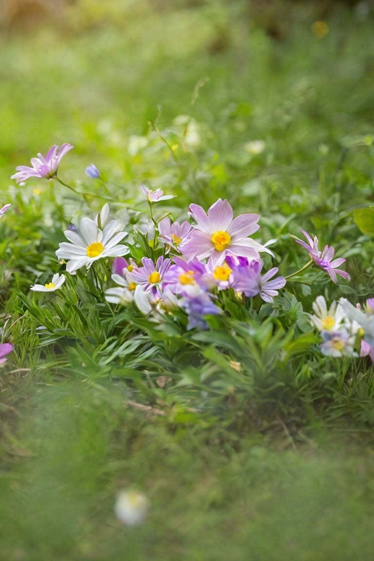  Flowers lie on the forest surface, the serenity of spring, soft light, (spring theme), beautiful spring woods, Fuji, bokeh,Flower Blindfold