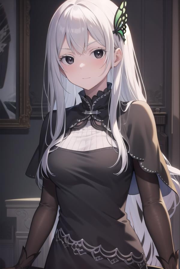 echidna, <lora:echidna-lora-nochekaiser:1>,echidna, colored eyelashes, white hair, hair between eyes, long hair, straight hair, (black eyes:1.5),BREAK black capelet, black dress, butterfly hair ornament, capelet, dress, hair ornament,BREAK looking at viewer, full body,BREAK indoors, classroom,BREAK <lyco:GoodHands-beta2:1>, (masterpiece:1.2), best quality, high resolution, unity 8k wallpaper, (illustration:0.8), (beautiful detailed eyes:1.6), extremely detailed face, perfect lighting, extremely detailed CG, (perfect hands, perfect anatomy),