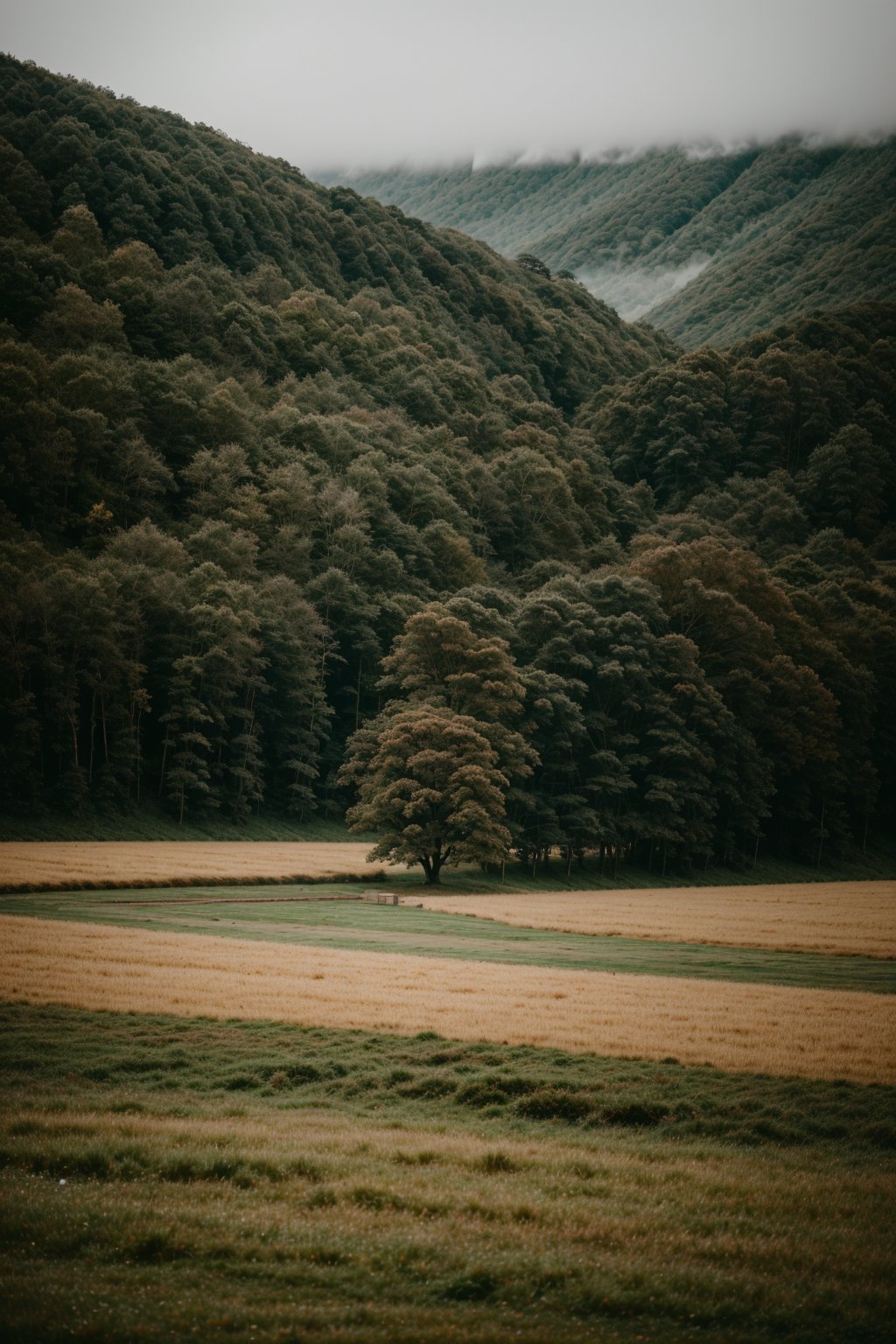 photo of landscape, rainy weather, 8k uhd, high quality, film grain, Fujifilm XT3