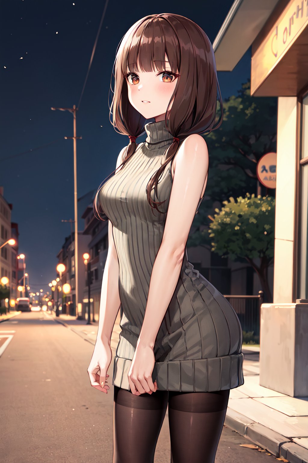 masterpiece, best quality, highres, aamiko, long hair, low twintails, blunt bangs, <lora:iino_miko_v1:0.7>, sweater dress, ribbed sweater, turtleneck, sleeveless, pantyhose, night, street, standing, cowboy shot