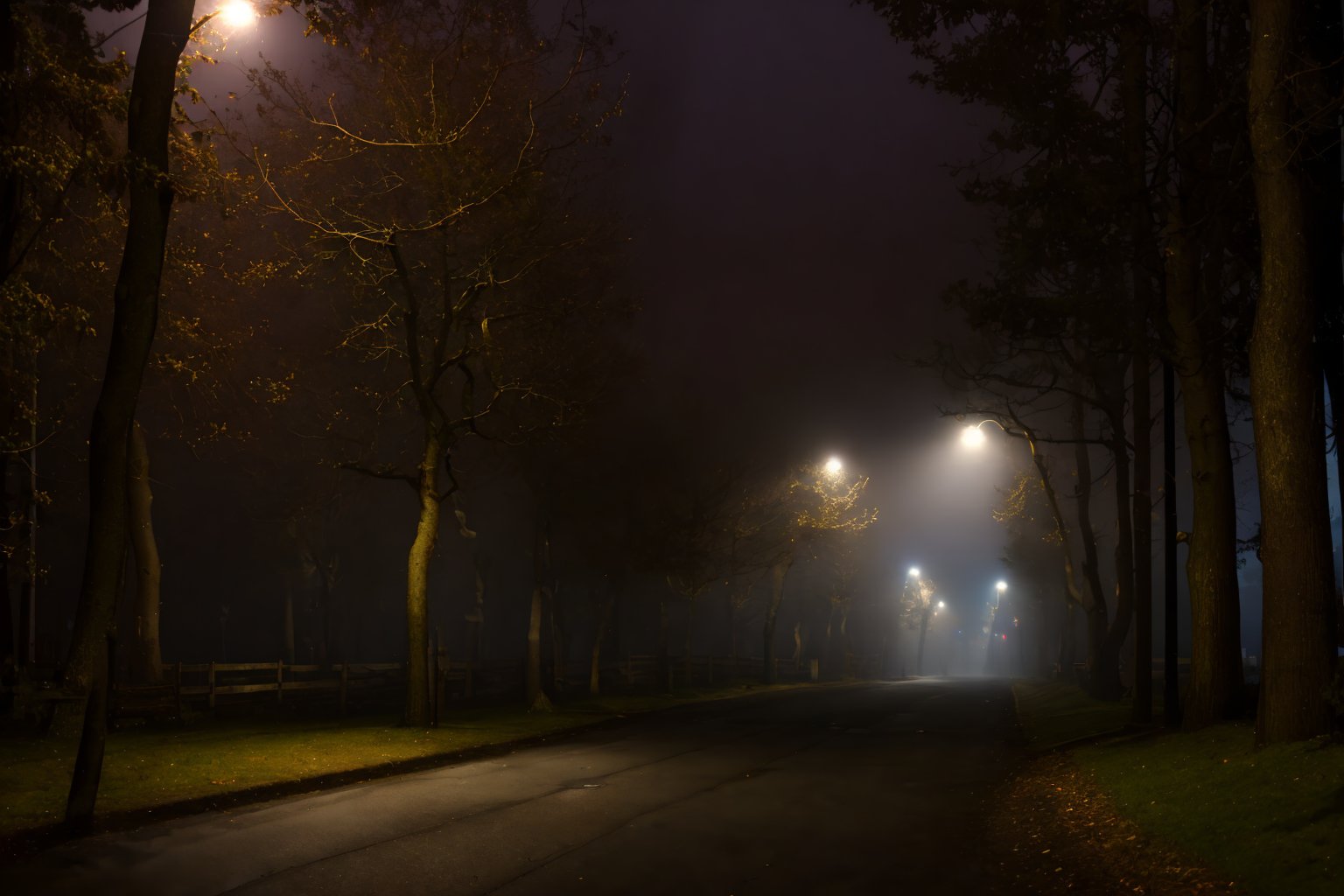 (masterpiece,best quality,4k),(RAW photo,photorealistic),(hdr),vhs filter,level-9, The Suburbs,dark street,minimal lighting,(nighttime:1.5),(foggy,trees,street light:1.5),volumetric lighting,backroom,liminal space