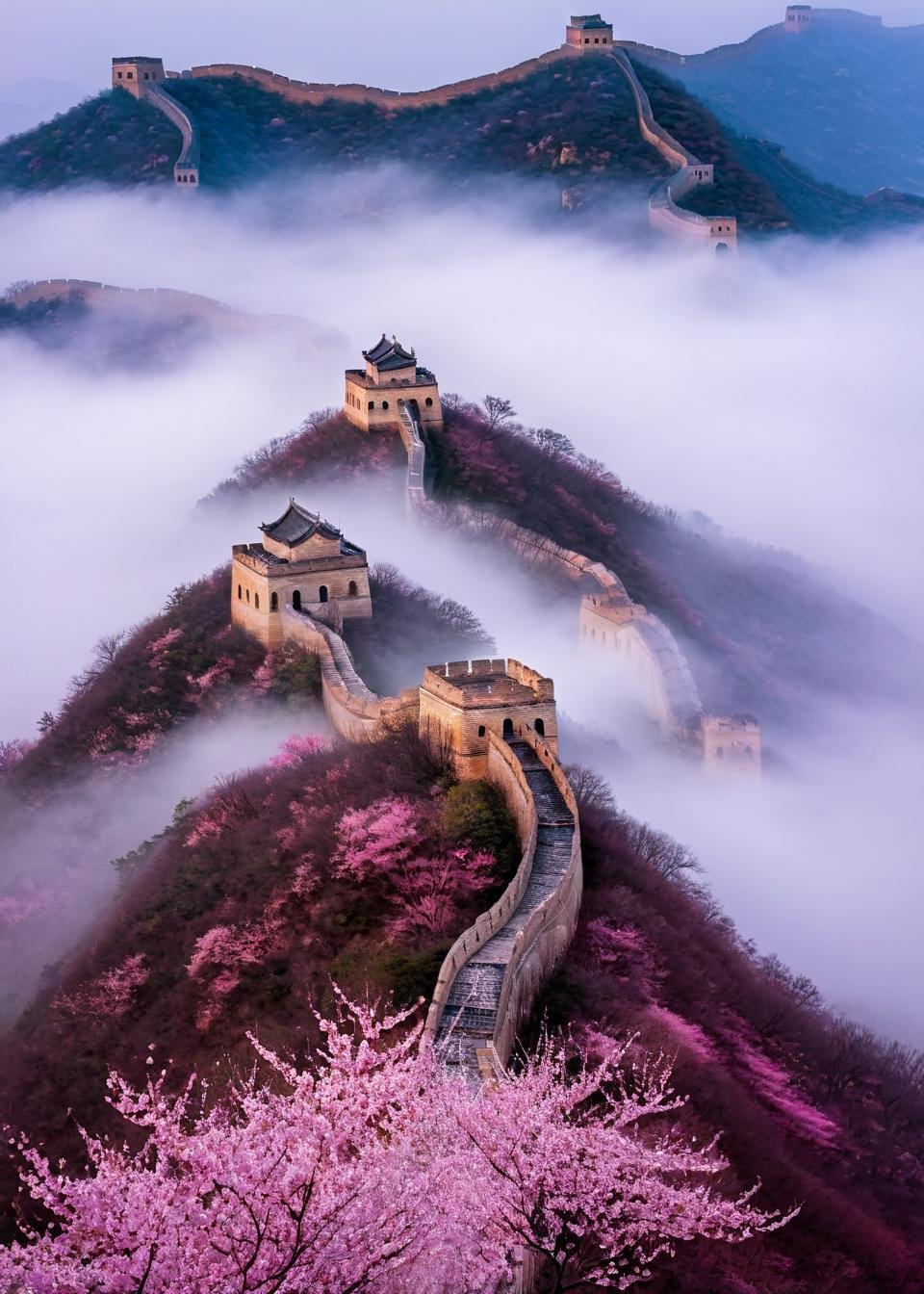 <lora:长城:1>,The Great Wall, no humans, scenery, tree, outdoors, cloud, sky, cherry blossoms, building, architecture, house, cloudy sky, fog, east asian architecture, nature, landscape, masterpiece, best quality,