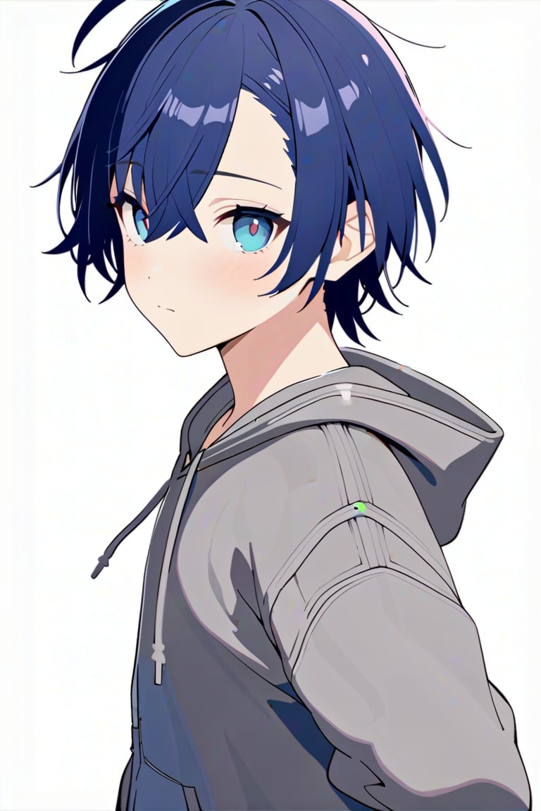 Raphael\(dimensionality of Morpheus\), 1male, solo, (AS-Adult:1.3),
look at viewer, closed mouth, stand, blush, 
thinking, from side,
sharp focus, simple_background, white background,
asymmetrical bangs, crossed bangs, blue eyes, blue hair, short hair,ahoge, grey hoodie, casual,
(perfect detailed face), ((clear face)), perfect body, standard body, detailed eyes, beauty, normal body, 
beautiful face, ((clear details)), 
(highly detailed), masterpiece, ((best quality)), illustrations, high_resolution,