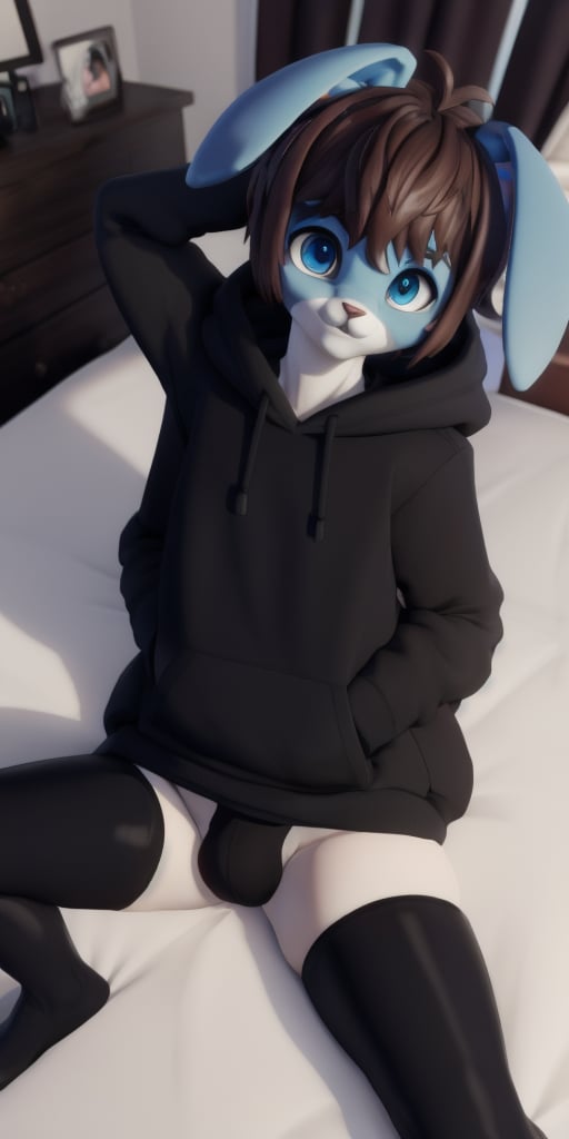 ((masterpiece, best quality:1.4)), bokeh, fluffy, 3d,furry male, solo, looking at viewer, anthro, rabbit boy, naughty face, closed mouth, blush, from above, hand up,<lora:Bunny_Arnas_Atakiyo:0.7> arnasbunny, brown hair, short hair, floppy ears, blue fur, black hoodie, long sleeves, black legwear, black panties, bulge,bedroom, on bed,<lora:Oto Adam Cosine 200E warmup 01 1 TE UNET DECOUPLED WD08:0.95> otoko no kono, OTOOB, on back, spread legs