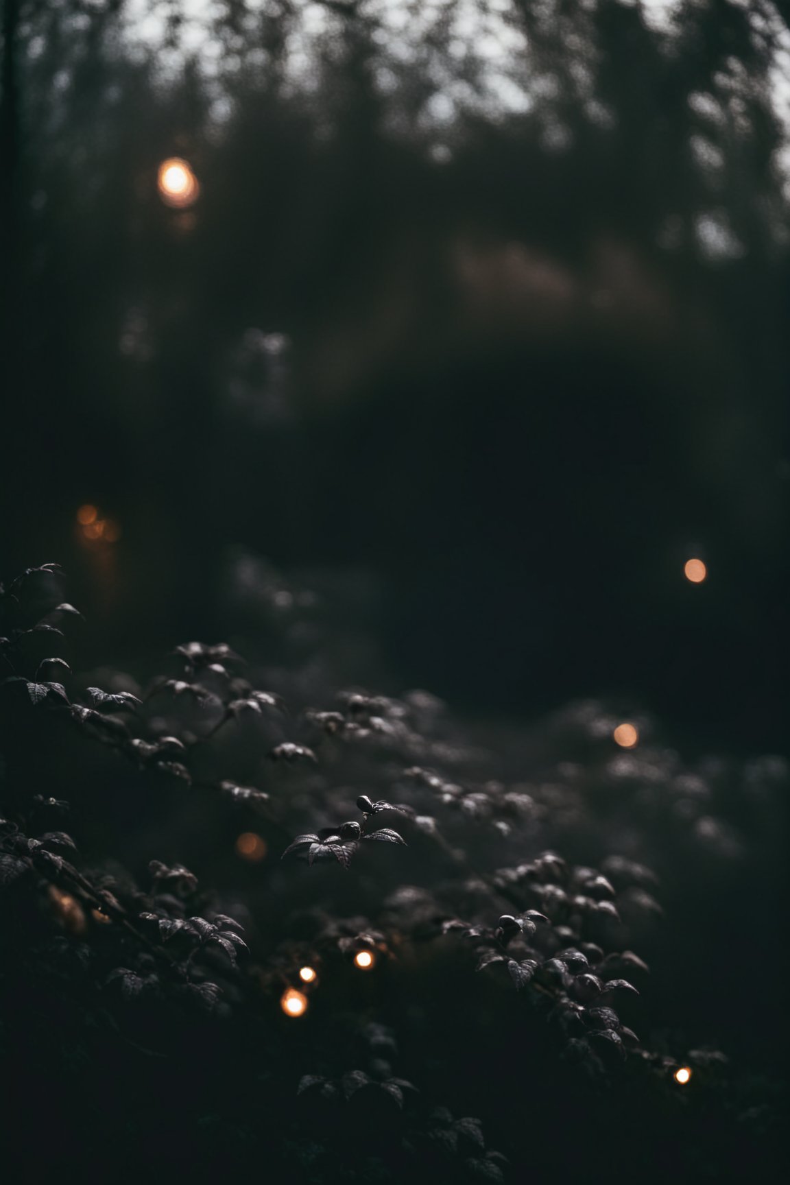 dark moody atmosphere,dark and moody,,Film Style, shallow depth of field, vignette, highly detailed, high budget, bokeh, cinemascope, moody, epic, gorgeous, film grain, grainy,
