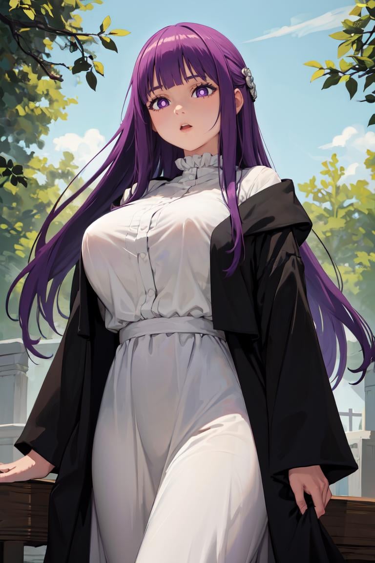 masterpiece, best quality, absurdres, perfect anatomy, 1girl, solo, FernFrieren, very long hair, purple eyes, (purple pupils), white dress, black robe, large breasts, <lora:CHAR-Fern:1>