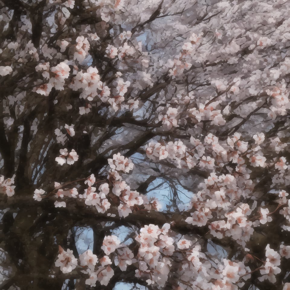 photograph_(object),close up short, outdoor, tree, cherry blossoms, sakura flowers, 8k,scenery, blue sky,firefliesfireflies