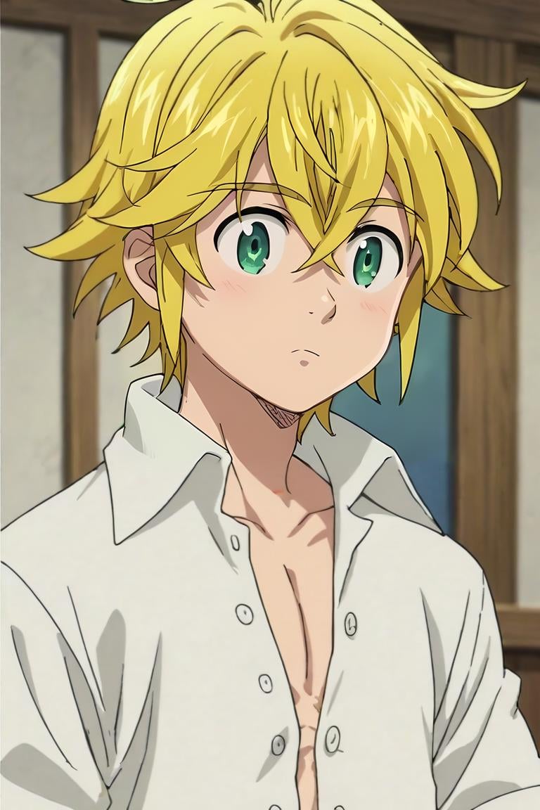 score_9, score_8_up, score_7_up, score_6_up, score_5_up, score_4_up, BREAK source_anime, anime screencap, , , , upper body, depth of field, 1boy, solo, male focus, <lora:meliodas_nanatsu_no_taizai_pony:0.8>, meliodas_nanatsu_no_taizai, blonde hair, green eyes, hair between eyes, button-up shirt, , , , <lora:sdxl_lightning_8step_lora:1>