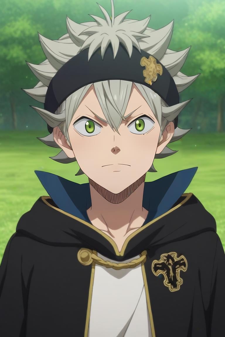 score_9, score_8_up, score_7_up, source_anime, semi-realistic, , , depth of field, 1boy, solo, male focus, <lora:asta_black_clover_pony:0.74>, asta_black_clover, grey hair, green eyes, spiked hair, headband, , , bobble hat, Oz: A land of enchantment, where anything is possible, , <lora:sdxl_lightning_8step_lora:1>