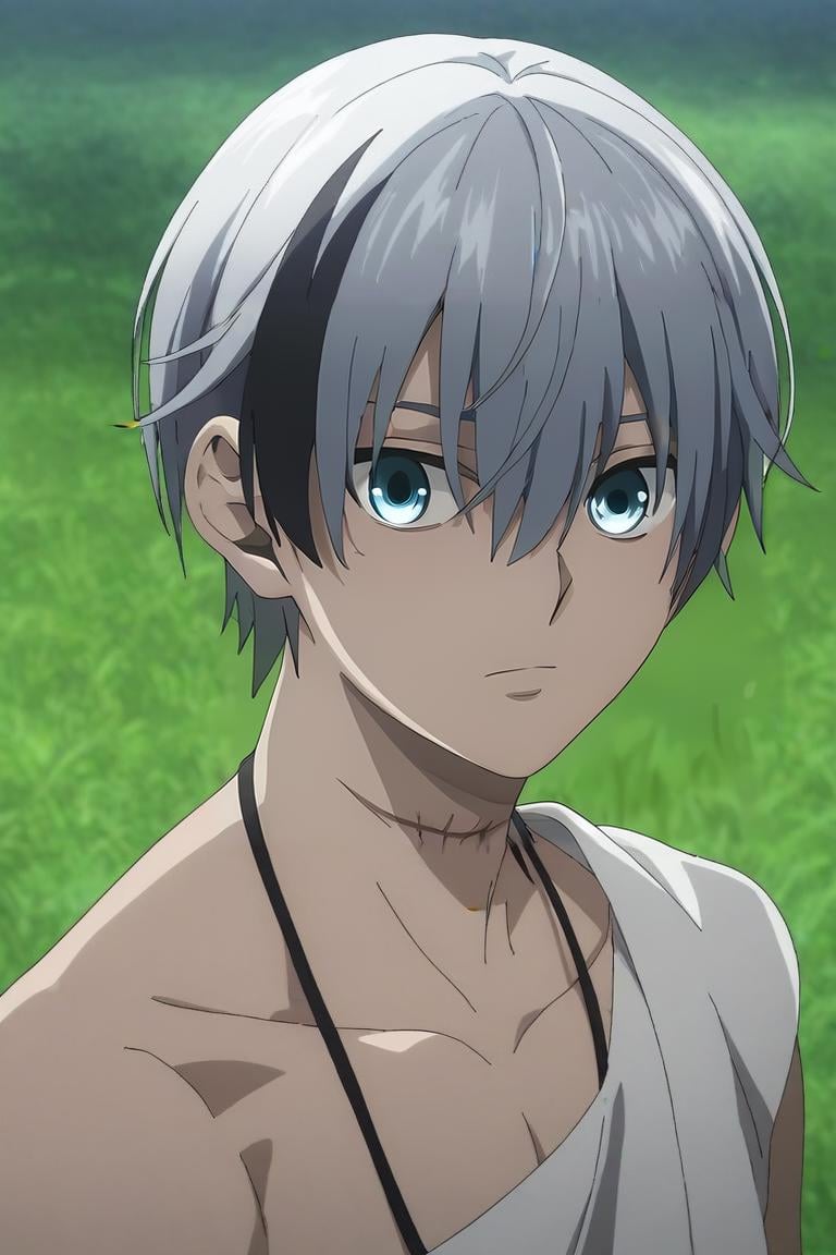 score_9, score_8_up, score_7_up, source_anime, semi-realistic, looking at viewer, upper body, , 1boy, solo, male focus, <lora:polka_shinoyama_pony:0.92>, polka_shinoyama, grey hair, blue eyes, two-tone hair, black hair, short hair, hair between eyes, streaked hair, bangs, scar, ,, wheat field, , <lora:sdxl_lightning_8step_lora:1>