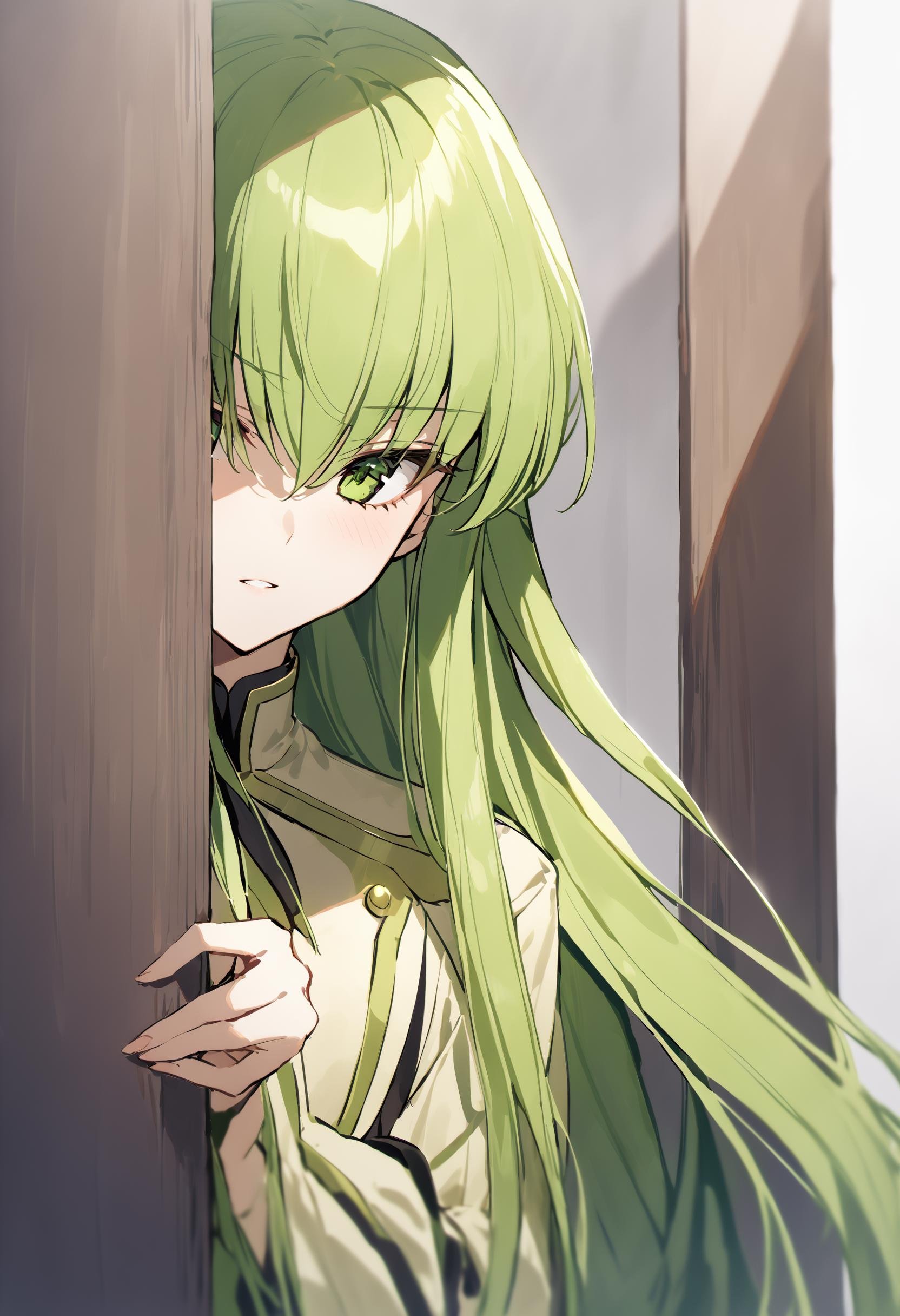 masterpiece, best quality, highres, 1girl, c.c., code geass, peeking out upper body<lora:peeking_out_ponyxl:1>