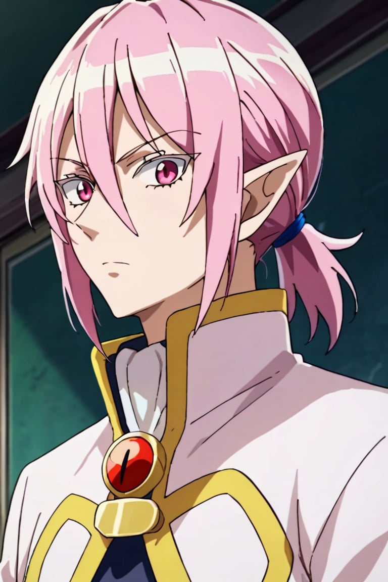 score_9,score_8_up,score_7_up,source_anime,looking at viewer, 1boy, Alice Asmodeus,pink hair, pink eyes,pointy ears, upper body, ponytail, standing,