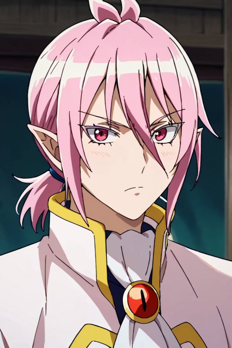 score_9,score_8_up,score_7_up,source_anime,looking at viewer, 1boy, Alice Asmodeus,pink hair, pink eyes,pointy ears, upper body, ponytail, standing,