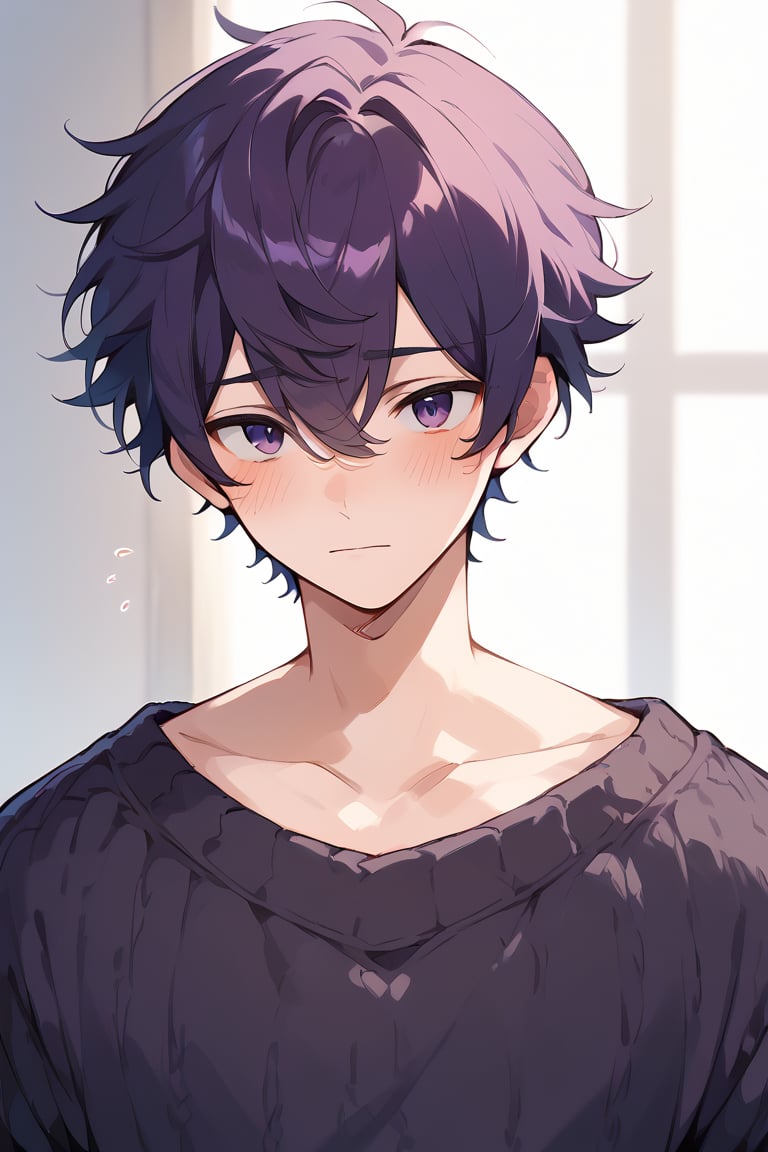 score_9,score_8_up,score_7_up, best quality,masterpiece, 1boy, male focus, shoto, purple hair, purple eyes, looking at viewer, upper body, close up, blush, sweater, clavicle