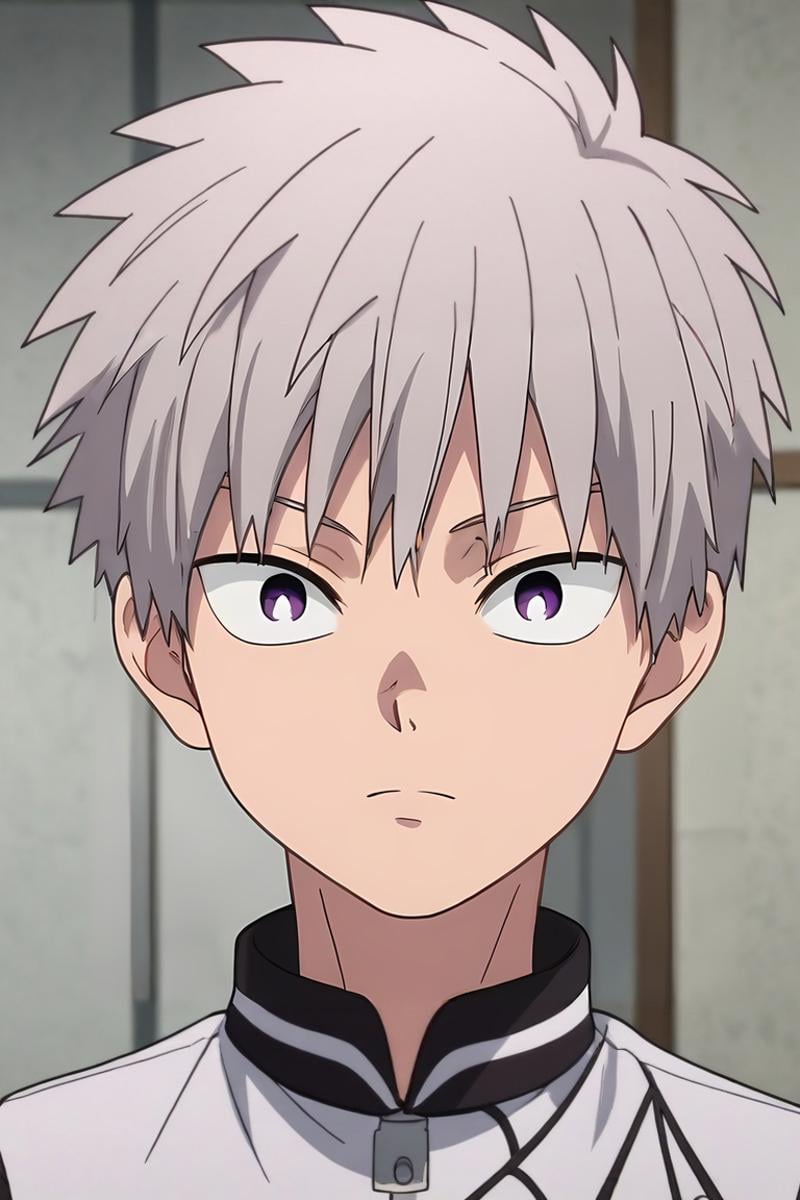 score_9, score_8_up, score_7_up, , rating_safe, , anime screencap, , official style, looking at viewer, depth of field, 1boy, solo, male focus, <lora:shiki_tademaru_pony:0.8>, shiki_tademaru, grey hair, purple eyes, short hair, sanpaku, , , <lora:sdxl_lightning_8step_lora:1>