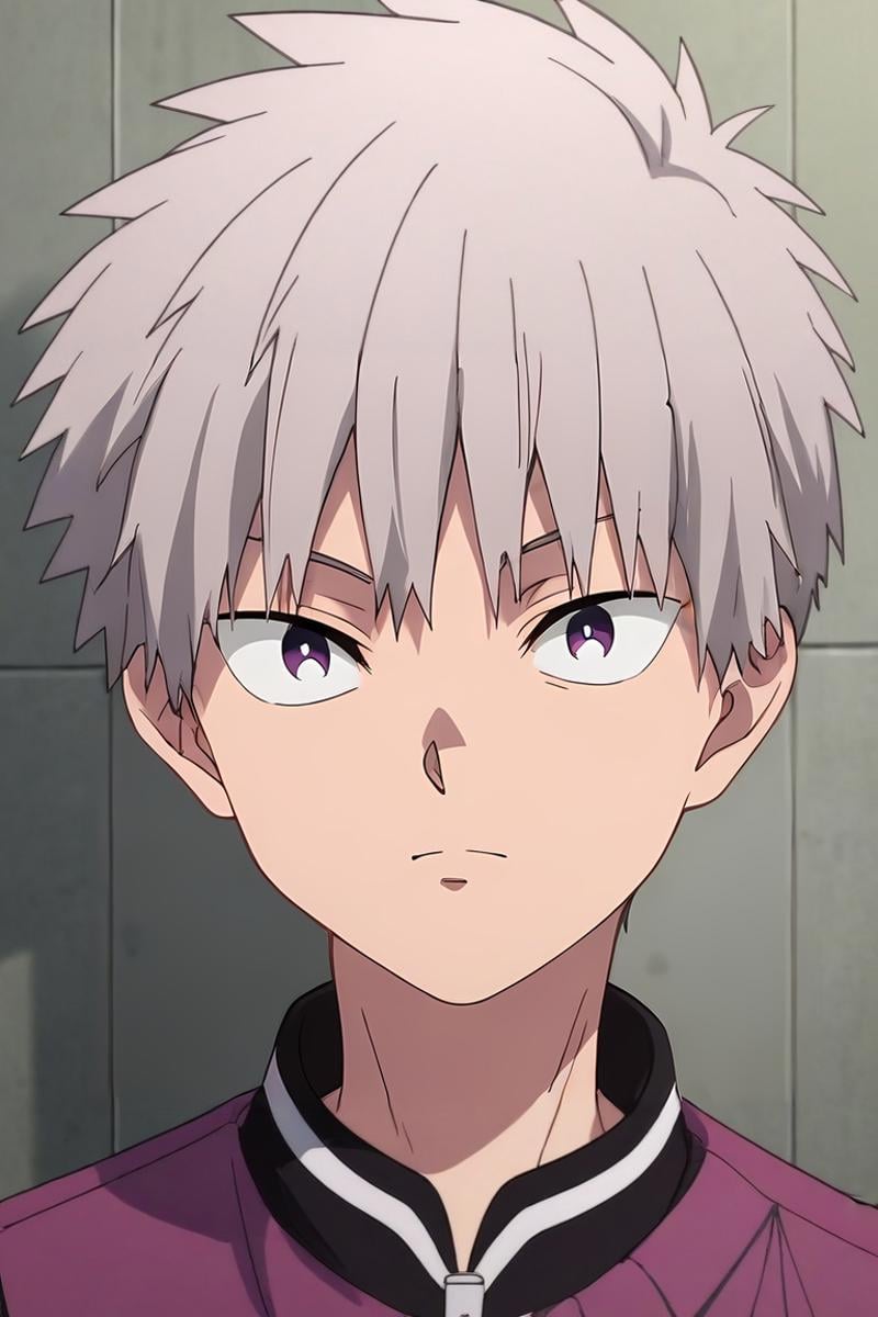 score_9, score_8_up, score_7_up, , rating_safe, intricate details, semi-realistic, looking at viewer, , 1boy, solo, male focus, <lora:shiki_tademaru_pony:0.96>, shiki_tademaru, grey hair, purple eyes, short hair, , ,, <lora:sdxl_lightning_8step_lora:1>