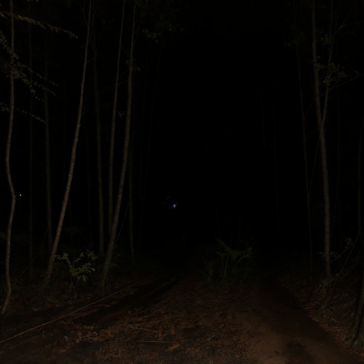 a woman standing next to a parked car in a dark night, reflections of car lights, lonely road in a forest, (best quality,4k,8k,highres,masterpiece:1.2),ultra-detailed,(realistic,photorealistic,photo-realistic:1.37),dramatic lighting,cinematic,moody atmosphere,deep shadows,dramatic contrast,detailed car,detailed woman,detailed forest,detailed road 