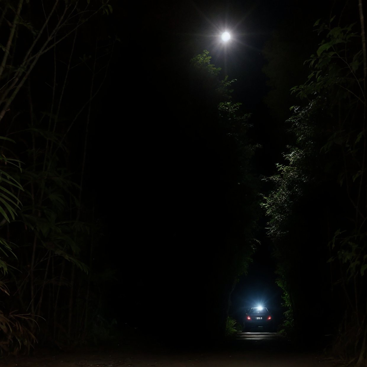 a woman standing next to a parked car in a dark night, reflections of car lights, lonely road in a forest, (best quality,4k,8k,highres,masterpiece:1.2),ultra-detailed,(realistic,photorealistic,photo-realistic:1.37),dramatic lighting,cinematic,moody atmosphere,deep shadows,dramatic contrast,detailed car,detailed woman,detailed forest,detailed road 