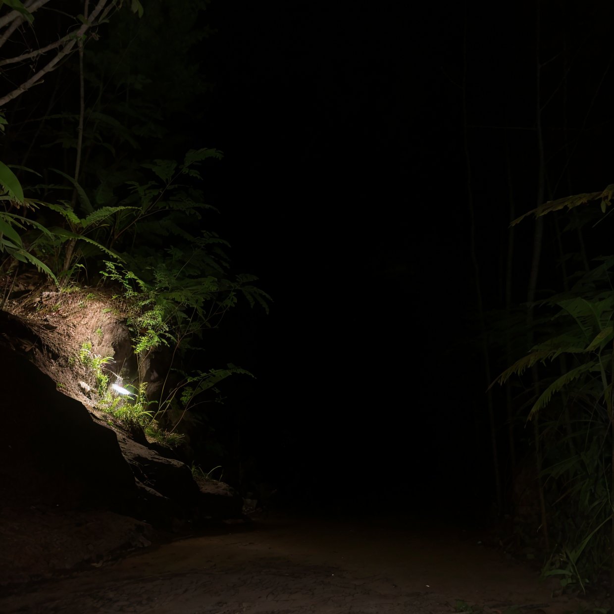 a woman standing next to a parked car in a dark night, reflections of car lights, lonely road in a forest, (best quality,4k,8k,highres,masterpiece:1.2),ultra-detailed,(realistic,photorealistic,photo-realistic:1.37),dramatic lighting,cinematic,moody atmosphere,deep shadows,dramatic contrast,detailed car,detailed woman,detailed forest,detailed road 