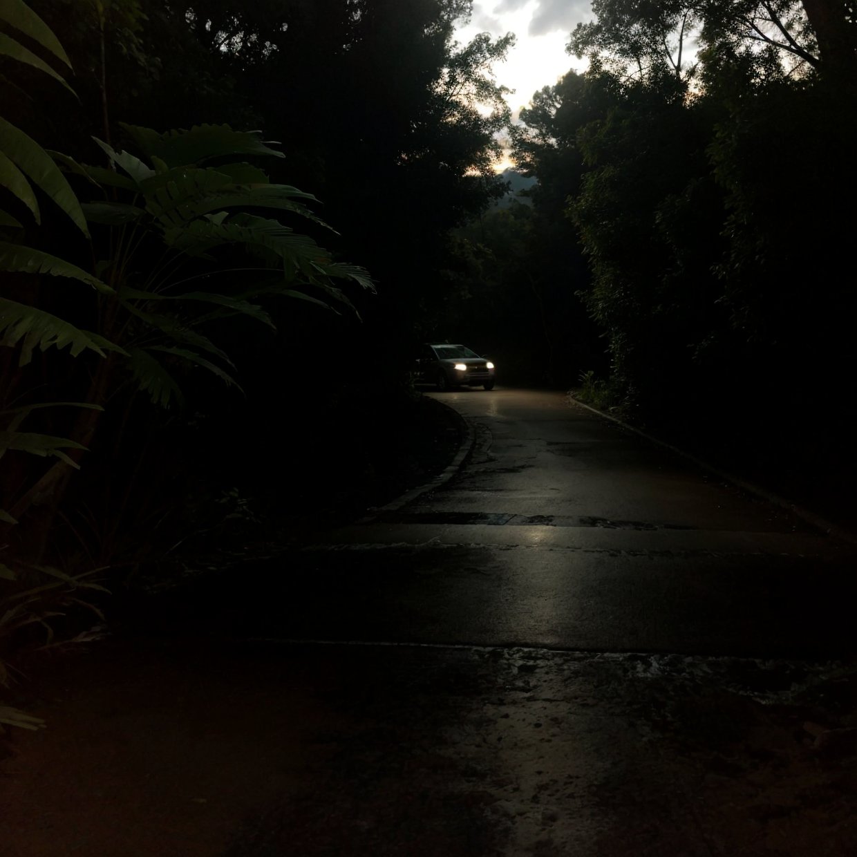 a woman standing next to a parked car in a dark night, reflections of car lights, lonely road in a forest, (best quality,4k,8k,highres,masterpiece:1.2),ultra-detailed,(realistic,photorealistic,photo-realistic:1.37),dramatic lighting,cinematic,moody atmosphere,deep shadows,dramatic contrast,detailed car,detailed woman,detailed forest,detailed road 