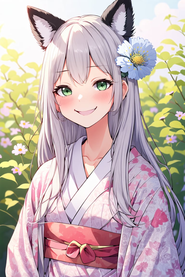 gorgeous lips, (masterpiece), (best quality), (ultra-detailed), very aesthetic, perfect composition, girl looking at viewer, smiling girl, solo, fox ears, ear hair, silver hair, hair between eyes, long sideburns, (long hair reaching to shoulders), super long hair, long hair, green eyes, droopy eyes, voluminous hair, long hair, blushing, smiling, spring kimono, flower hair accessory, light blue small flower, Scabiosa flower background,