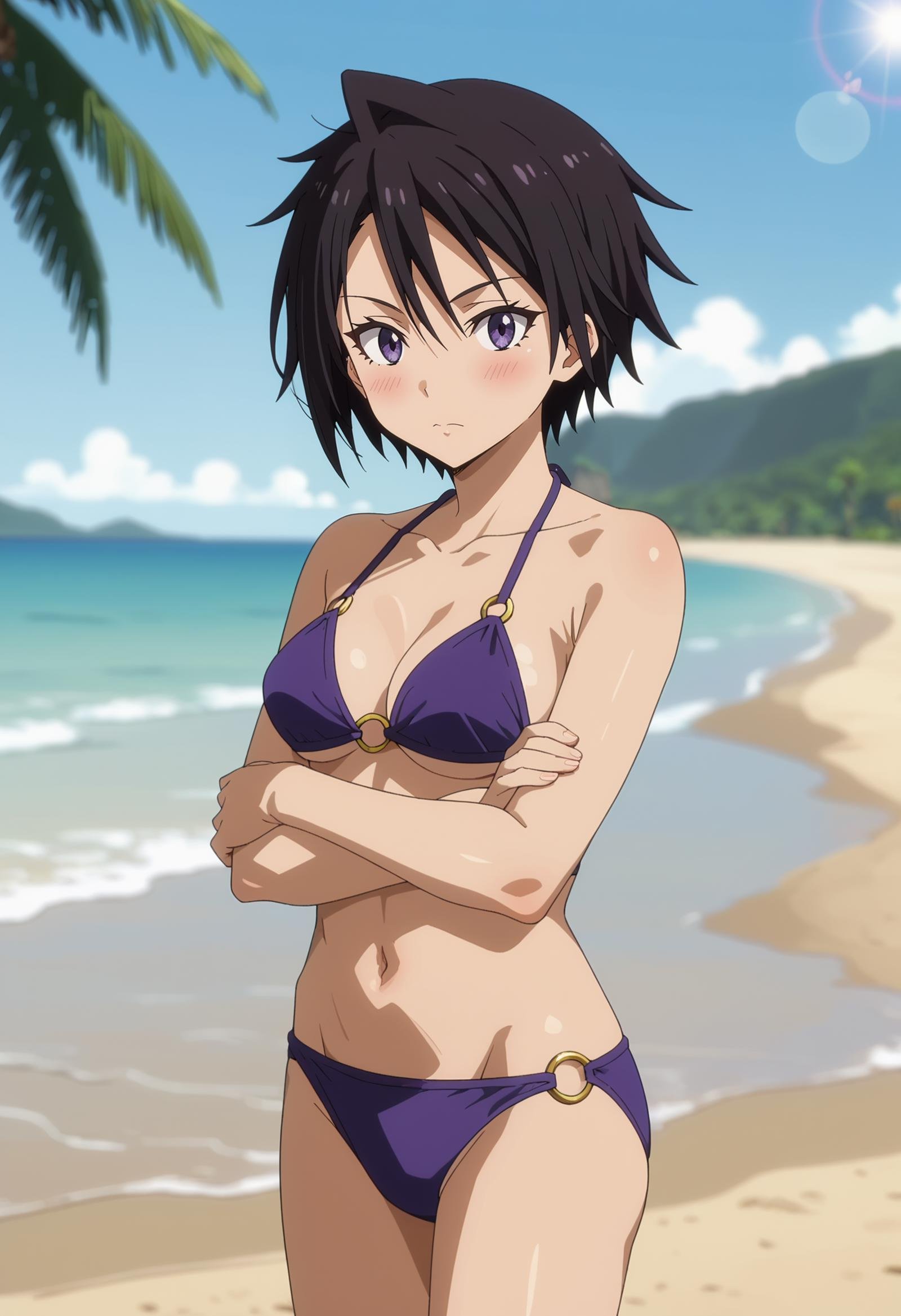 score_7_up, anime screencap,<lora:TenSura_SakaguchiHinataXL:0.9>, SakaguchiHinata,1girl, solo, closed mouth, blush,short hair, black hair, purple eyes,medium breasts, o-ring bikini, purple bikini,standing, crossed arms, looking at viewer, cowboy shot,blurry background, horizon, beach, palm tree, lens flare, evening