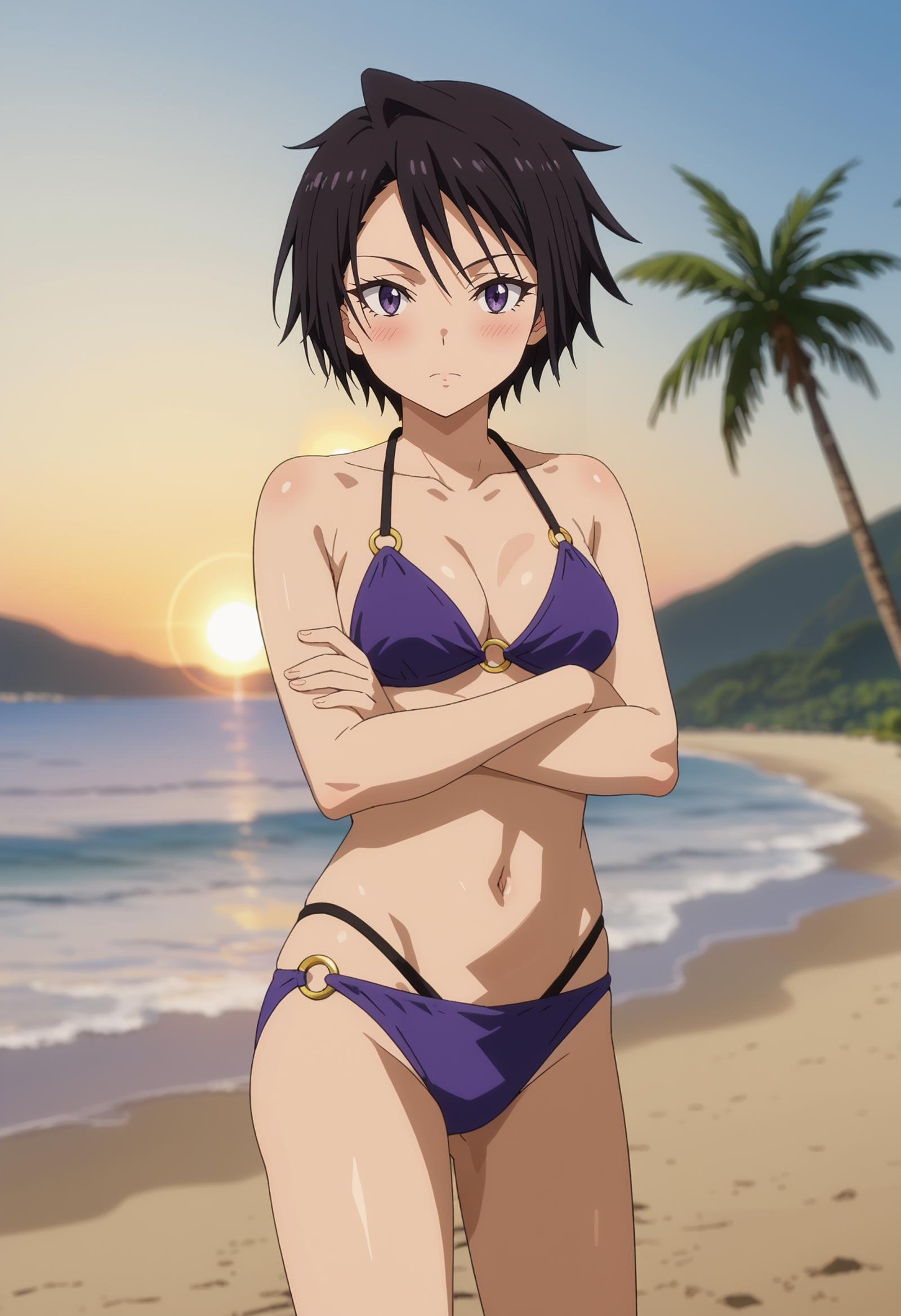 score_7_up, anime screencap,<lora:TenSura_SakaguchiHinataXL:0.9>, SakaguchiHinata,1girl, solo, closed mouth, blush,short hair, black hair, purple eyes,medium breasts, o-ring bikini, purple bikini,standing, crossed arms, looking at viewer, cowboy shot,blurry background, sunset, horizon, beach, palm tree, lens flare, evening