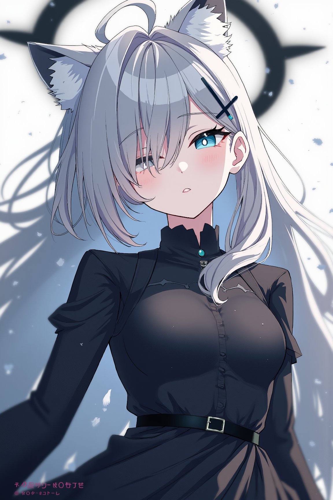 Shiroko_Terror_Ai, a girl with wolf ears, animal ears, fur on her ears, long black dress, black halo on her head and destroyed, hair ornament in the shape of a churz. blue eyed girl