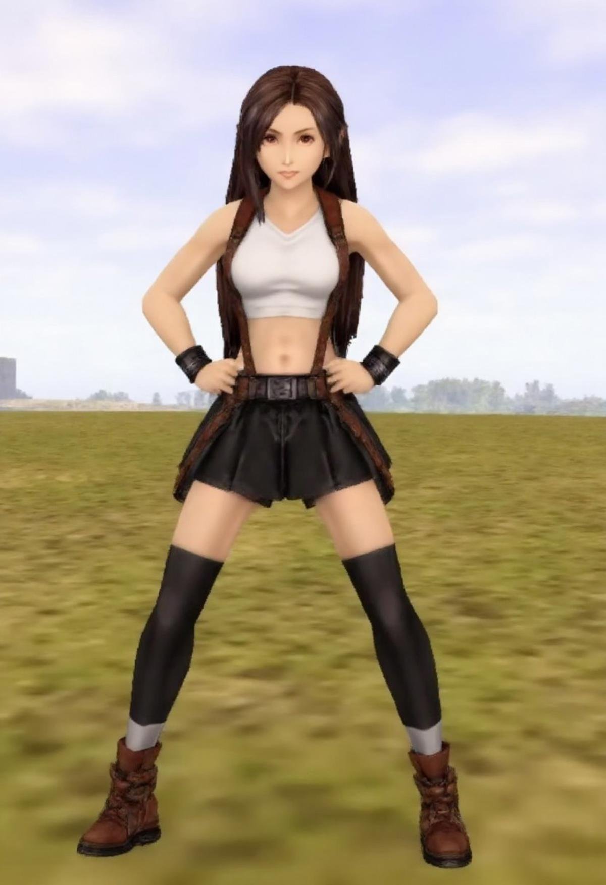 third person, ningraphix of TifaLockhart standing with her hands on her hips, facing camera, wearing a white croptop, suspenders, black skirt and thighhighs. She is standing in a field.