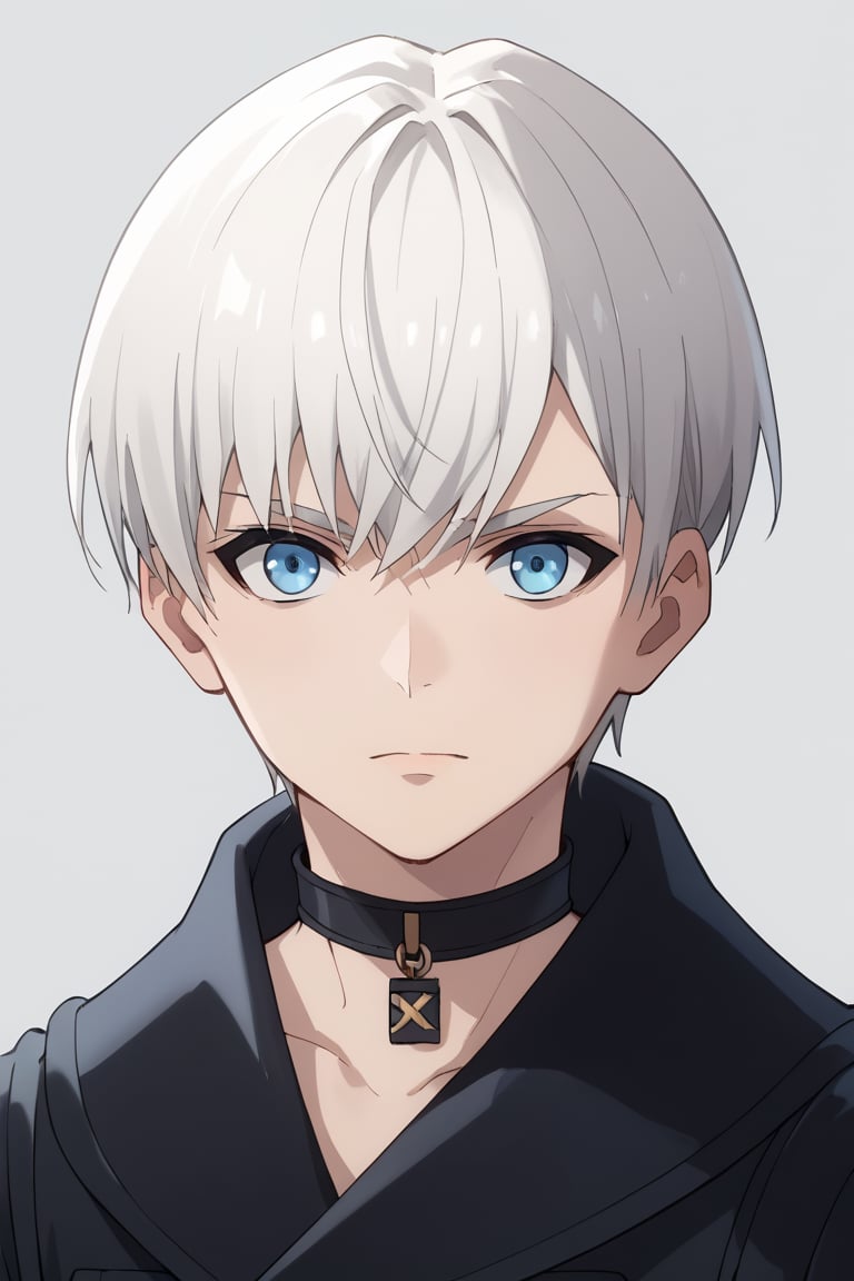 score_9, score_8_up, score_7_up, source_anime, BREAK, 1boy, male focus, solo, 9s, white hair, blue eyes, black jacket, black choker, black shorts, black gloves, looking at viewer, portrait, simple background