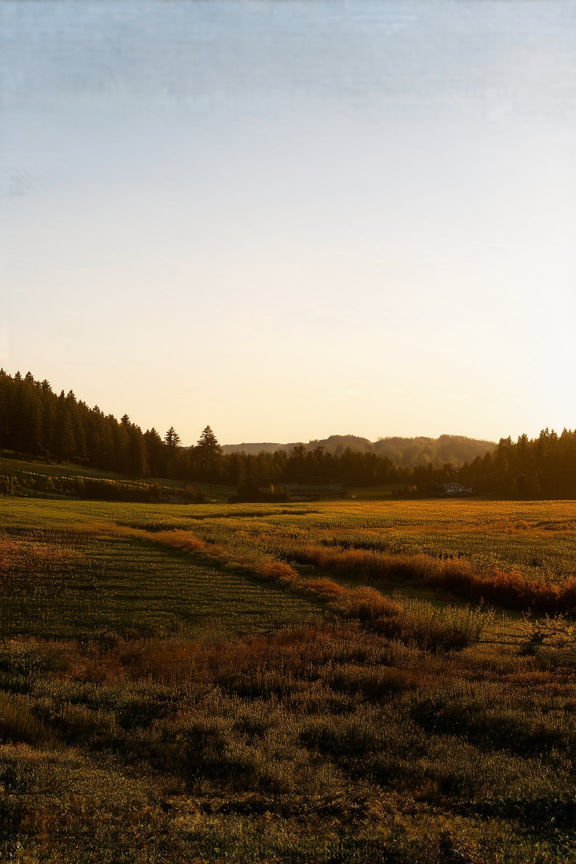 scenery, cozy, rustic, countryside, natural, earthy tones, 4esthet1c