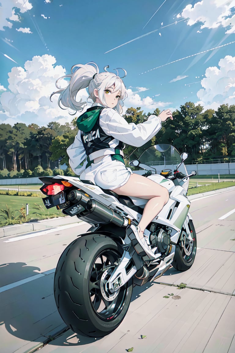 1girl, motion shot, (wind blowing back), (hair blowing in wind), (white and green racing one piece outfit), (speed streaks), (riding bike away from camera), looking back, nice round butt, racetrack, (white motorbike), (white sport bike), (white hair), cute features, braids on boths sides, flat chested, white_hair, long hair, full body, futiristic, alone, yhmotorbike,yhmotorbike,mecha