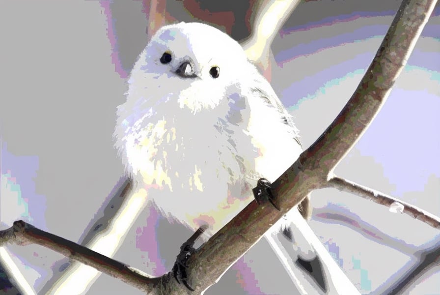 8K quality, high definition animation, ultra high definition rendering, white round bird perched on a tree branch, long-tailed tit, round black eyes, small black triangular beak