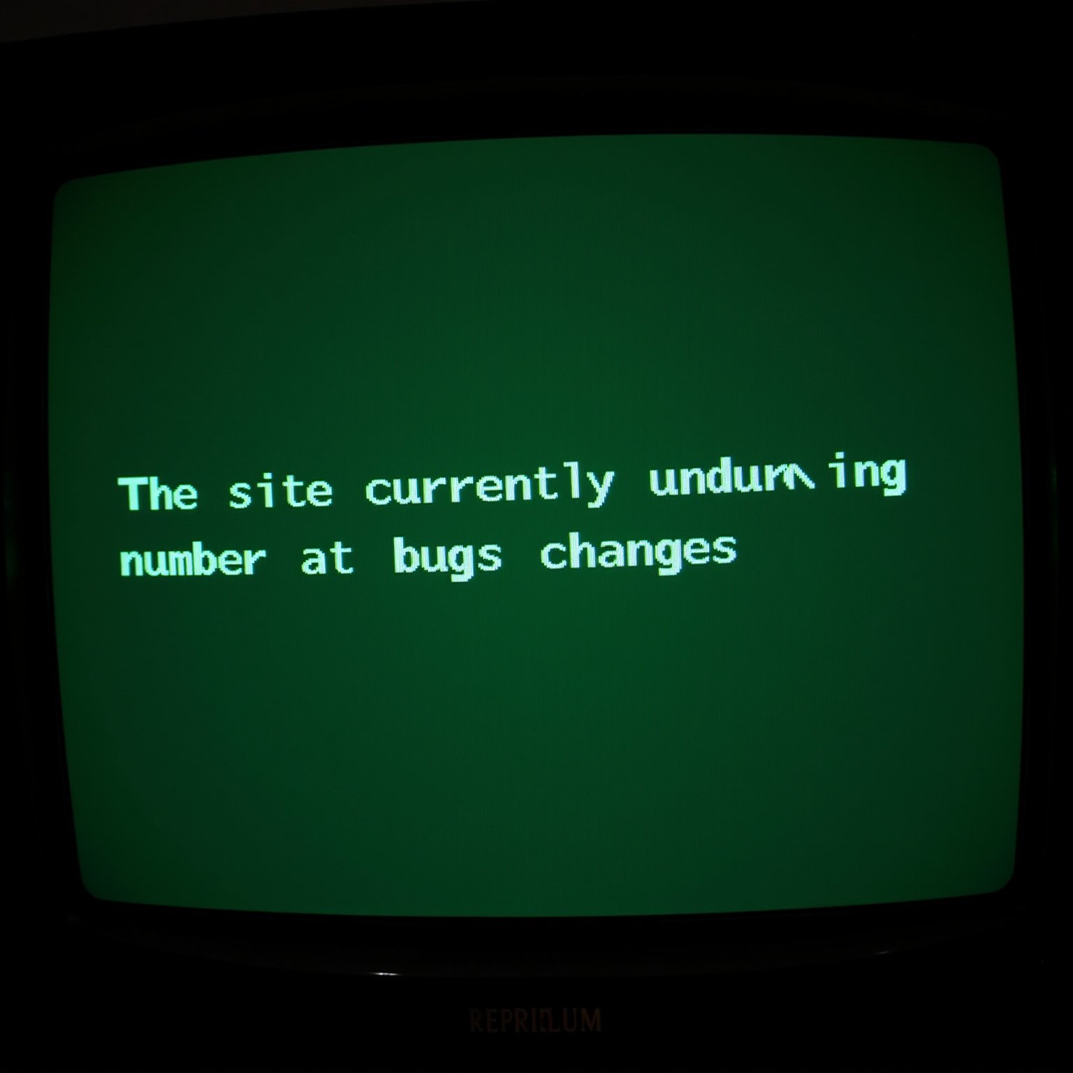 Green text displayed on an old monitor, low resolution LCD,
text "The site is currently undergoing a number of bugs and changes"