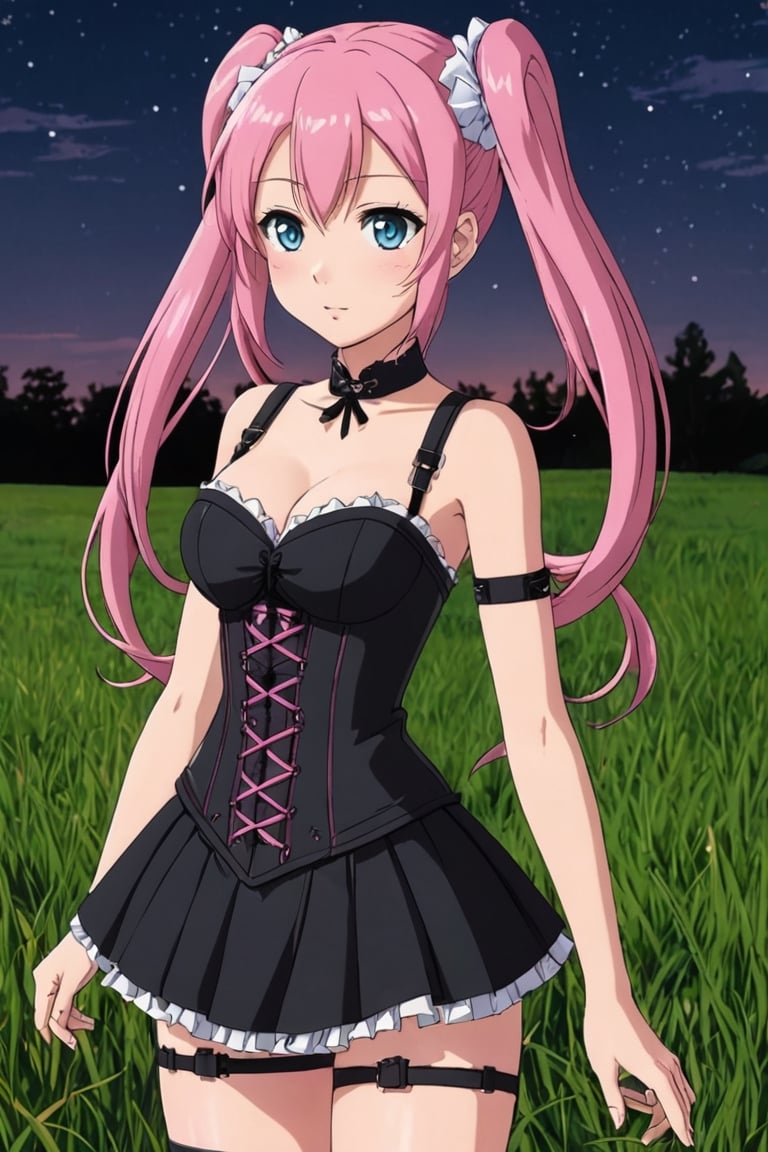 anime girl in a pink corset and black dress standing in a field, anime girl named lucy, with pink hair, nighttime!!, 1 7 - year - old anime goth girl, humanoid pink female squid girl, hana yata, haruno sakura, pink and black, scene!!, nighttime!, anime screencap, pink twintail hair and cyan eyes