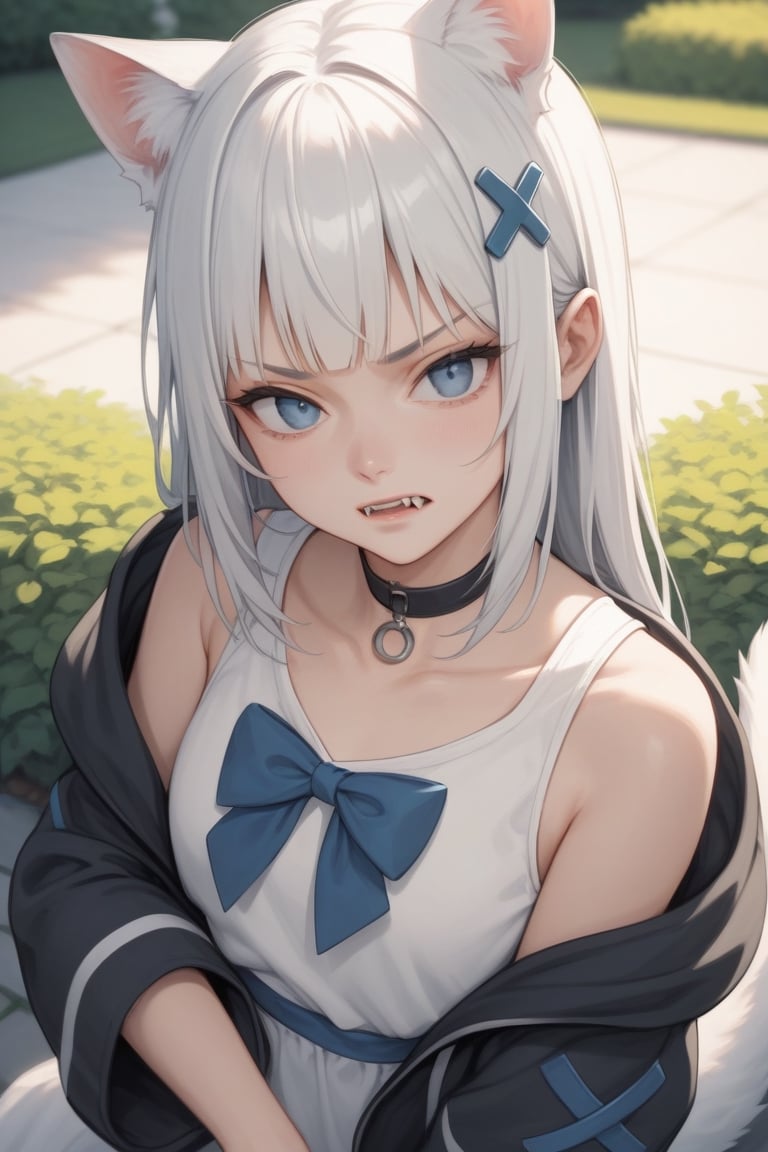 score_9, score_8_up, score_7_up, score_6_up, source anime, 1girl, solo,  ((white hair)), very long hair, blue eyes, (straight hair), (bangs), animal ears, (stoat ears:1.2), Choker, ahoge, fangs, 
(big stoat Tail:1.2), (X hairpin), (White sleeveless collared dress, blue chest bow), (black hooded oversized jacket:1.2), (Off the shoulders), vinpitm,annoyed,pov,hand on another chin,garden,aesthetic