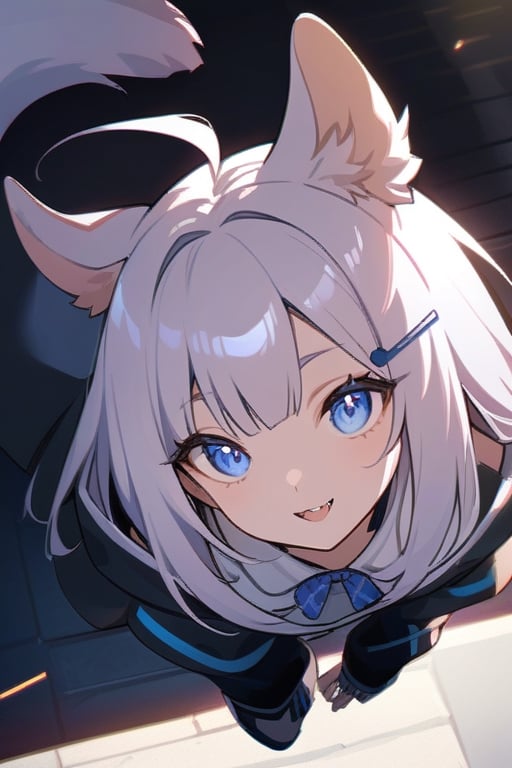 masterpiece, best quality, laplace, 1girl, solo,  ((white hair)), very long hair, blue eyes, (straight hair), (bangs), animal ears, (stoat ears:1.2), Choker, ahoge, fangs, (big stoat Tail:1.2), (blue X hairpin), (White sleeveless collared dress, (midriff), blue chest bow), (black hooded oversized jacket:1.2), (jacket zipper half unzipped), (Off the shoulders), lolita, smile, leaning forward, city street, close-up , from above, look up, anime,light,detail,atmosphere,portraitart,Visual_Illustration,portrait art style