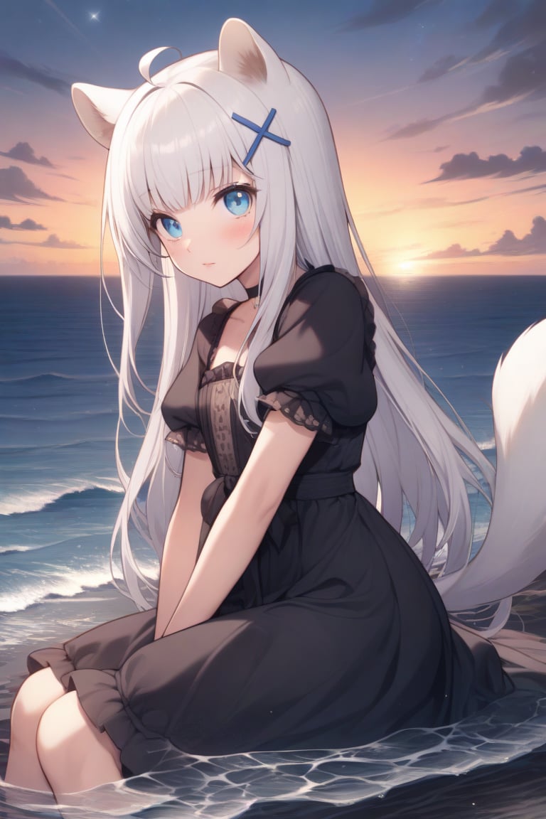 1girl, stoat girl, solo,  ((white hair)), very long hair, blue eyes, (straight hair), (bangs), animal ears, (stoat ears:1.2),
 Choker, ahoge, yaeba, (big white stoat Tail:1.2), (blue X hairpin),  solo, long hair, looking at viewer, blush, bangs, brown hair, hair ornament, dress, sitting, closed mouth, short sleeves, outdoors, sky, puffy sleeves, cloud, wide sleeves, water, black dress, puffy short sleeves, lips, black ribbon, ocean, star \(sky\), sunset, horizon,Detail