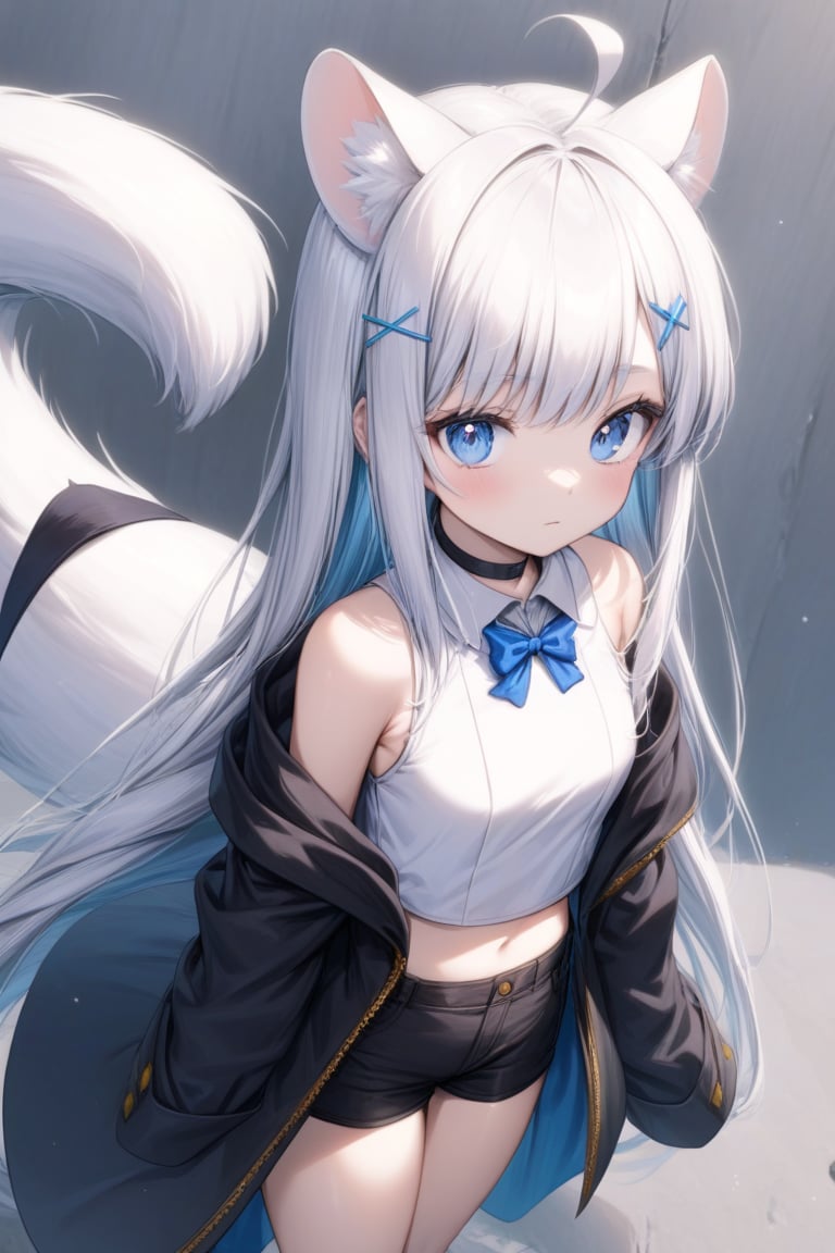 1girl, stoat girl, solo,  ((white hair)), very long hair, blue eyes, (straight hair), (bangs), animal ears, (stoat ears:1.2),
 Choker, ahoge, yaeba, (big white stoat Tail:1.2), (blue X hairpin), (White collared sleeveless top, (midriff), blue chest bow), 
(black hooded overcoat:1.2), (overcoat half zipped), (black short pants) (Off the shoulders),
high angle shot,Beautiful eyes