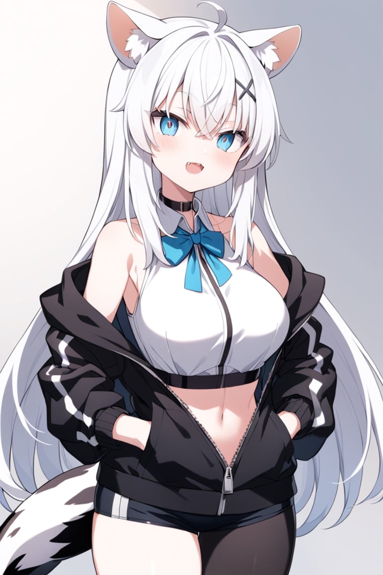 1girl, stoat girl, solo,  ((white hair)), very long hair, blue eyes, (straight hair), (bangs), animal ears, (stoat ears:1.2),
 Choker, ahoge, fangs, (big stoat Tail:1.2), (blue X hairpin), (White collared sleeveless top, (midriff), blue chest bow), 
(black hooded oversized jacket:1.2), ((jacket zipper half unzipped)), (black short pants) (Off the shoulders), hand on hip,anime,cg,