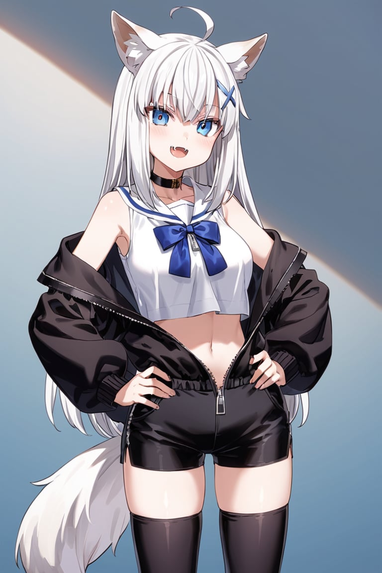 1girl, stoat girl, solo,  ((white hair)), very long hair, blue eyes, (straight hair), (bangs), animal ears, (stoat ears:1.2),
 Choker, ahoge, fangs, (big white fox Tail:1.2), (blue X hairpin), (White collared sleeveless top, (midriff), blue chest bow), 
(black hooded oversized jacket:1.2), ((jacket zipper half unzipped)), ((black short pants)) (Off the shoulders), hand on hip,anime,cg,